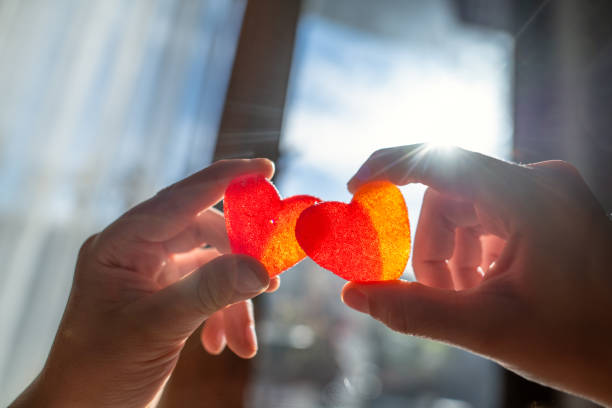 Seasonal Healing: How to Sync Your "Soul Crystals" with the Rhythms of the Year