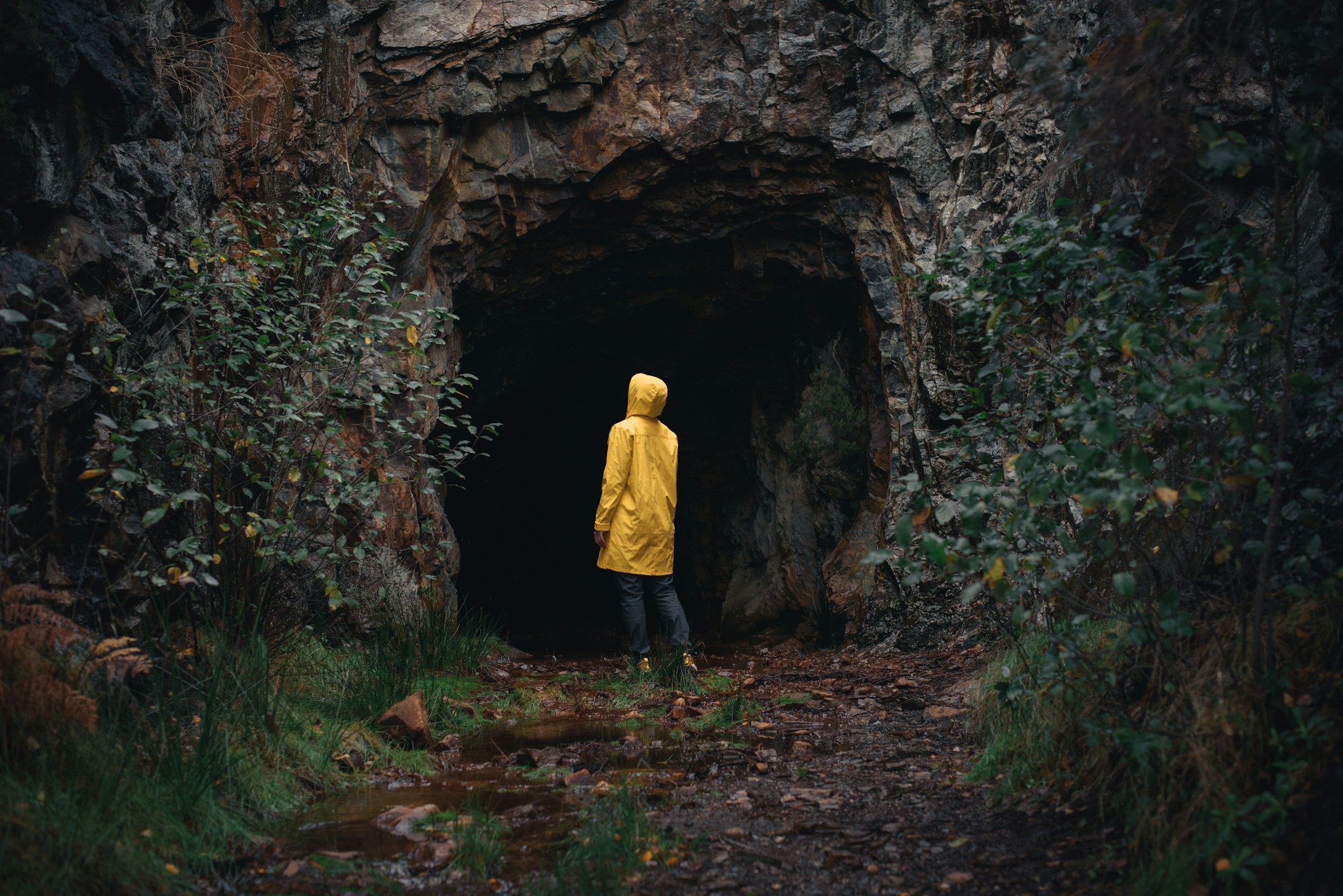 Conquer Your Shadows: A Guide to Liberating Yourself from Fear