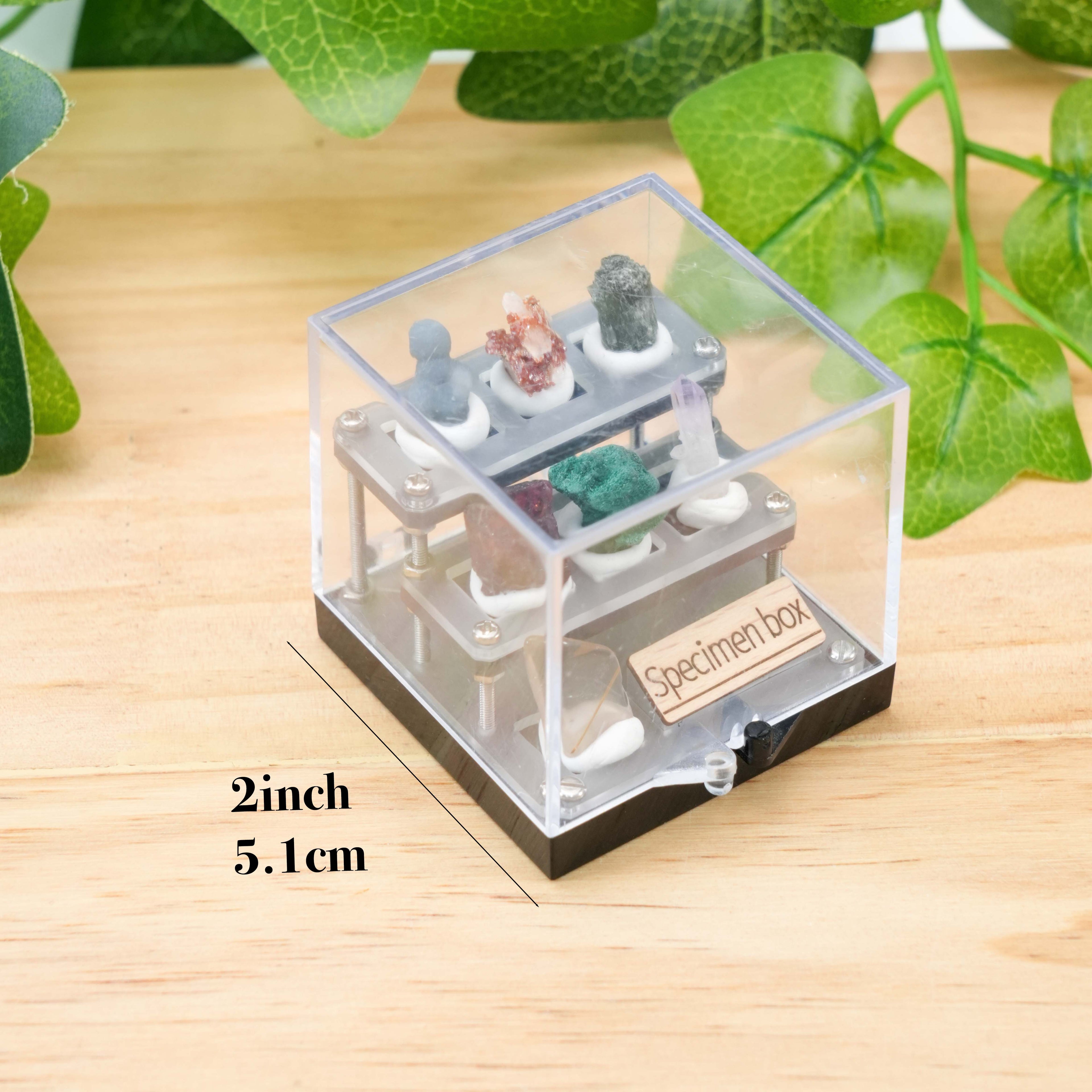 Mini Mineral Specimen Collection Box -Natural Crystal Stone Set for Collectors & Decor