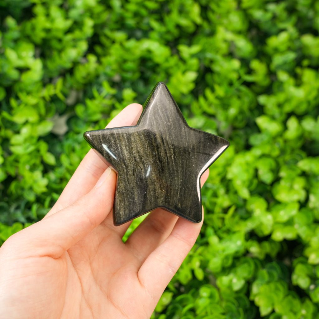 Natural Golden Obsidian Star Stones Polished Manifestation Stones for Wealth, Reiki Healing, and Protection