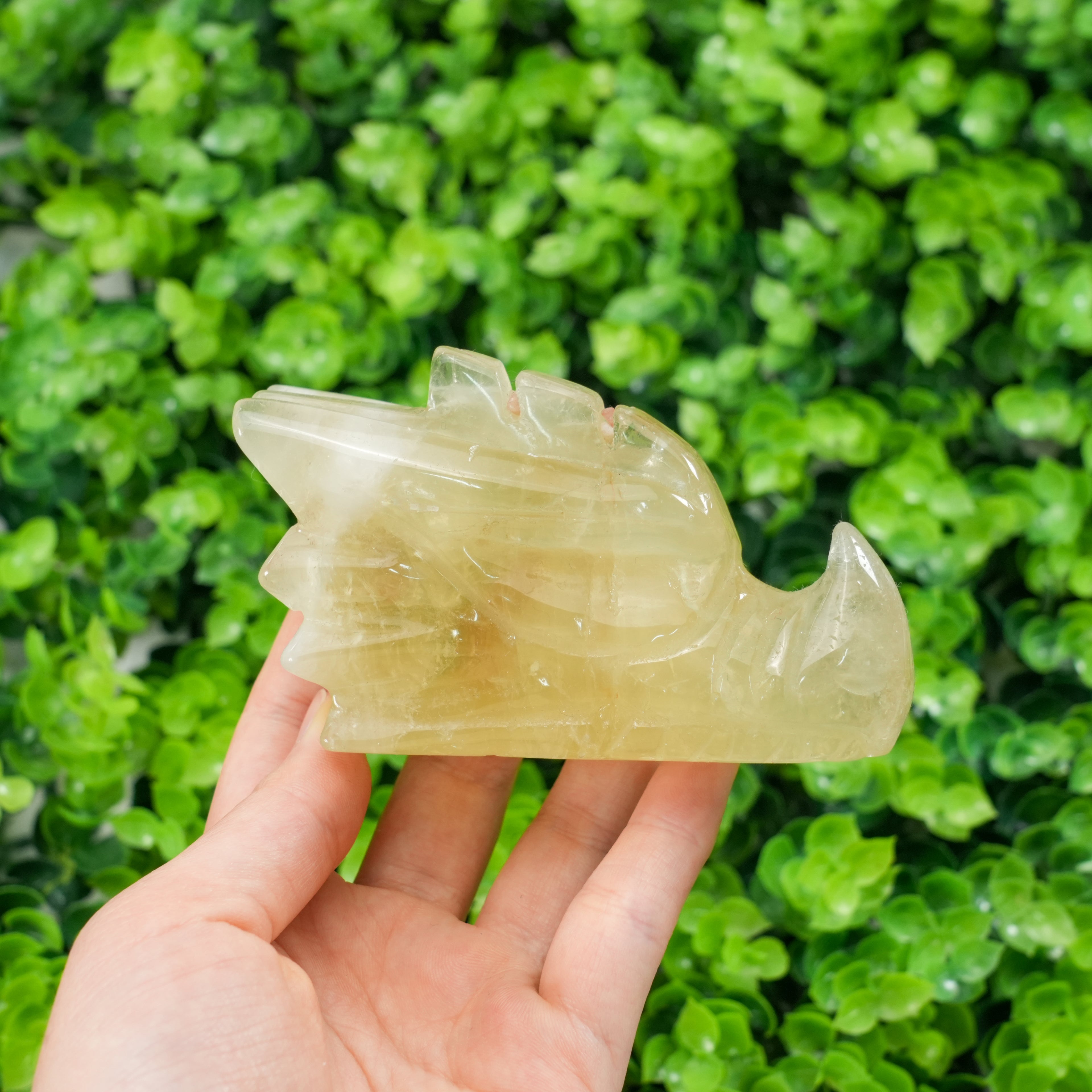 Natural Citrine Dragon Head Carving Crystal Dragon Skull Statue, Feng Shui Wealth Stone Figurine for Home Decor, Healing Crystal Gift