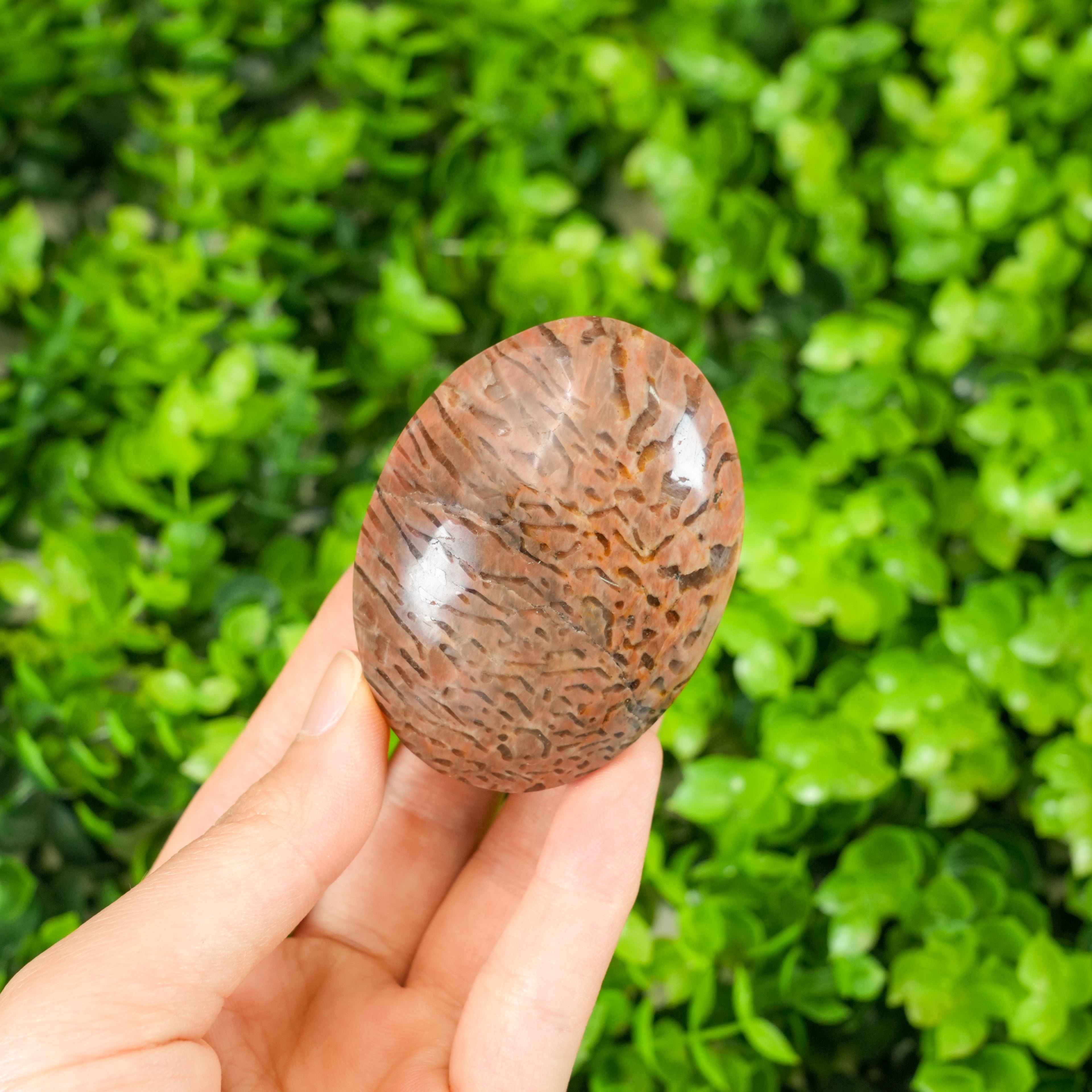 Peach Moonstone with Smoky Quartz Palm Stone - Natural Crystal Worry Stone for Emotional Balance