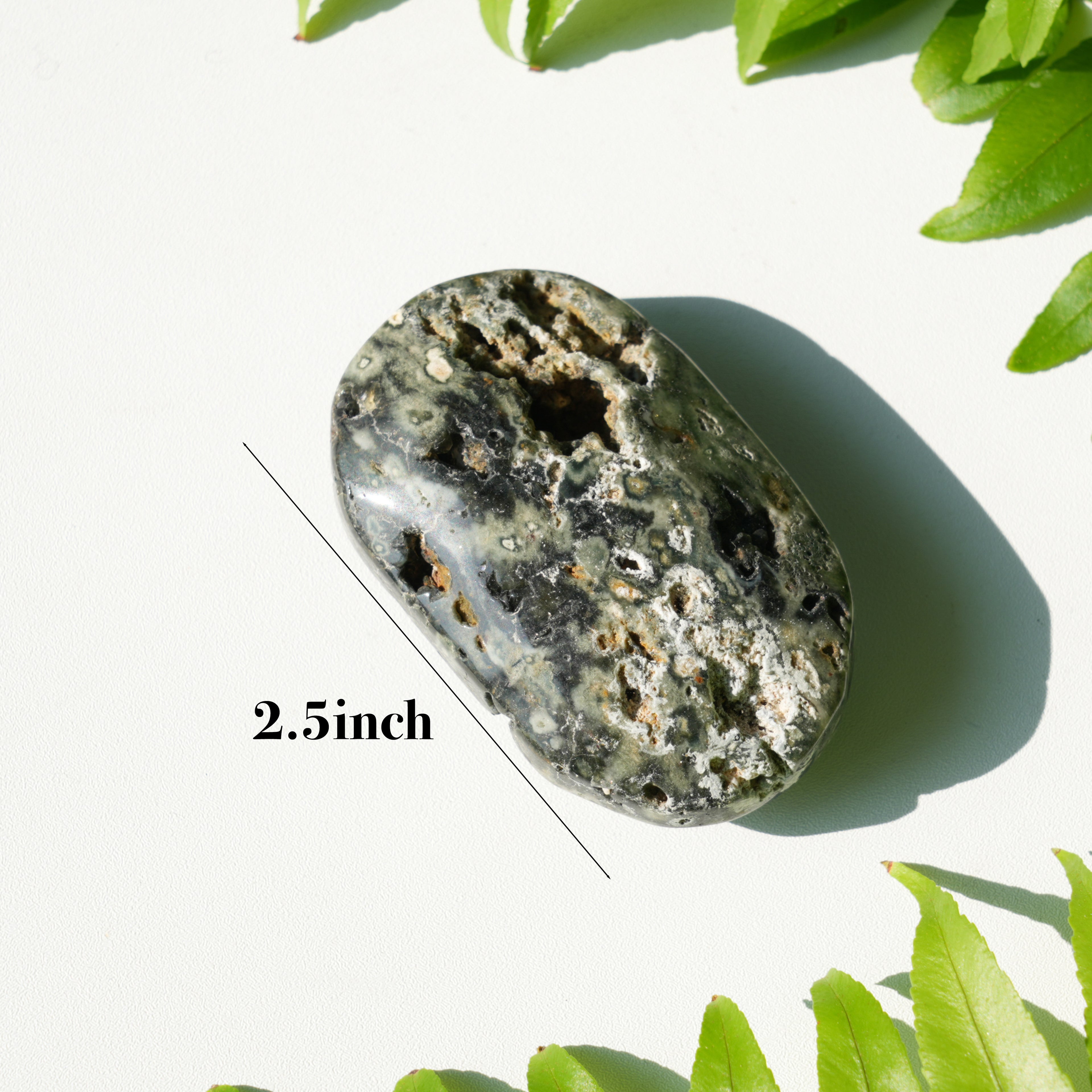 Ocean Jasper Palmstone