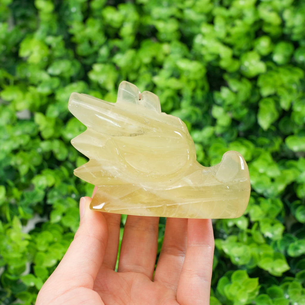 Natural Citrine Dragon Head Carving Crystal Dragon Skull Statue, Feng Shui Wealth Stone Figurine for Home Decor, Healing Crystal Gift