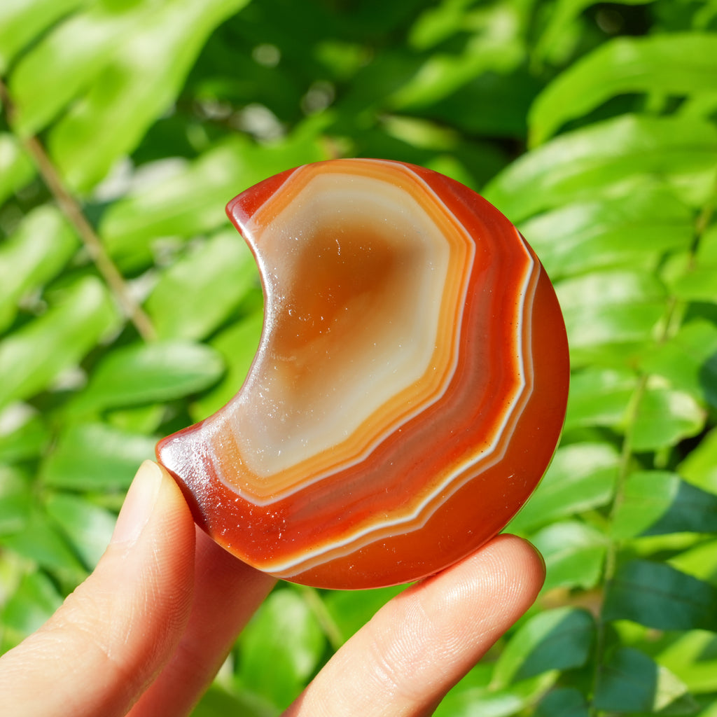 Sardonyx Moon