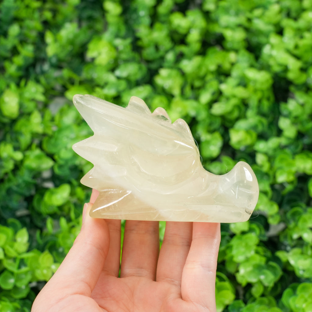 Natural Citrine Dragon Head Carving Crystal Dragon Skull Statue, Feng Shui Wealth Stone Figurine for Home Decor, Healing Crystal Gift