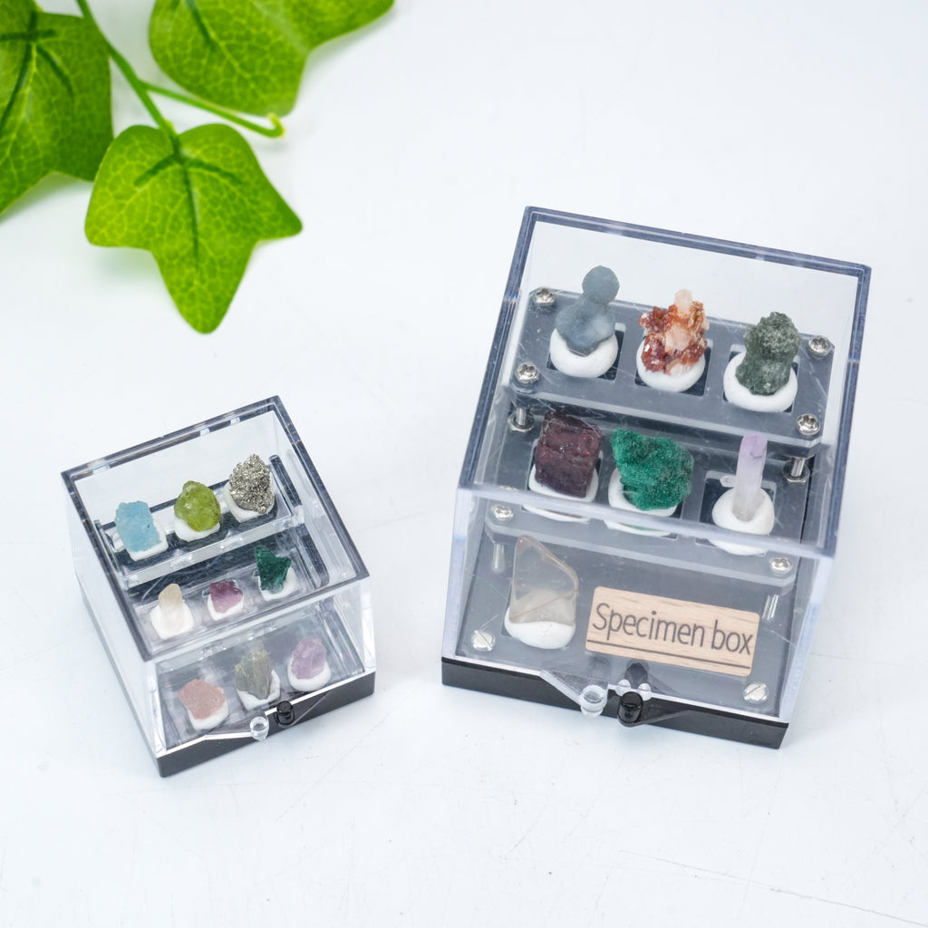 Mini Mineral Specimen Collection Box -Natural Crystal Stone Set for Collectors & Decor