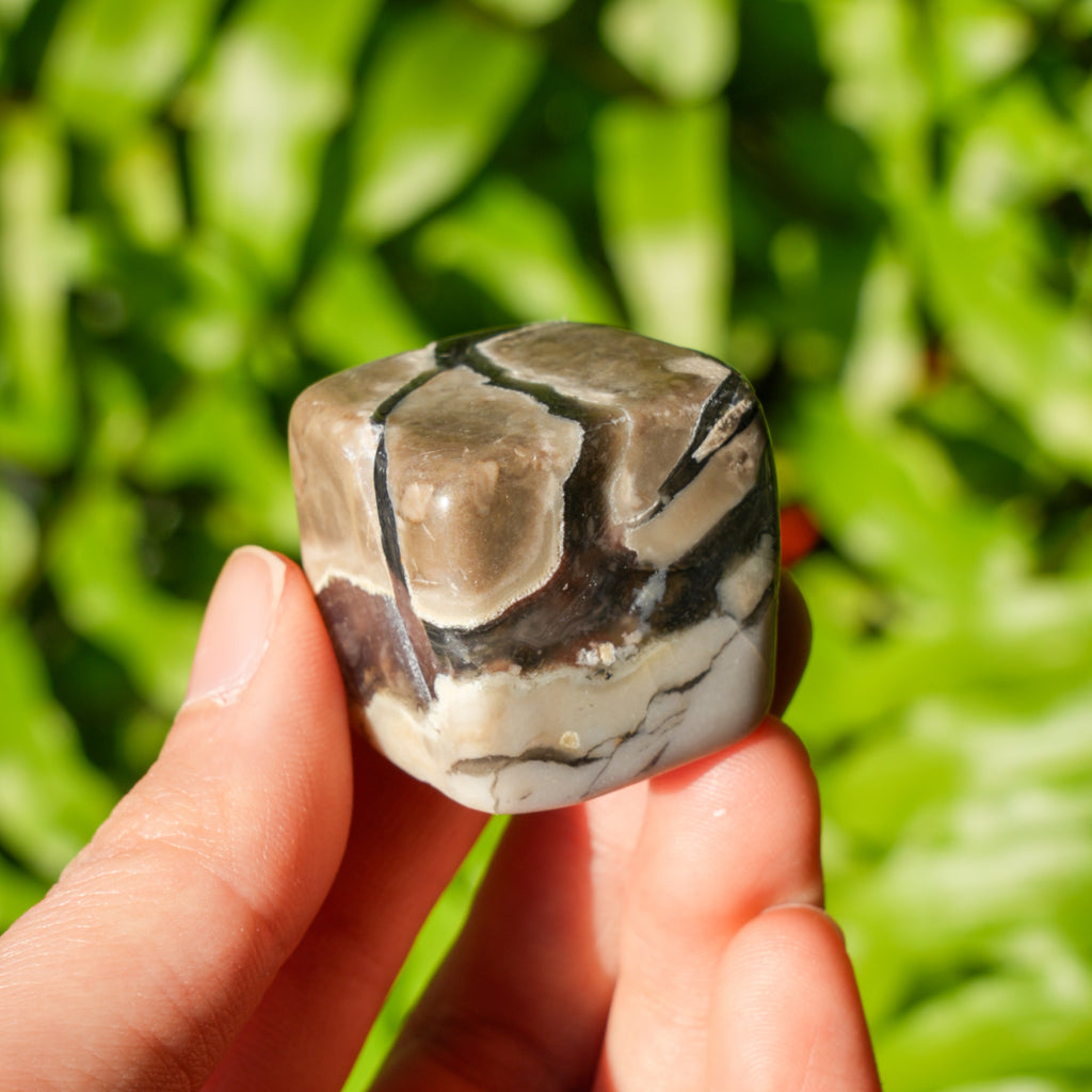 Volcano Agate Cube