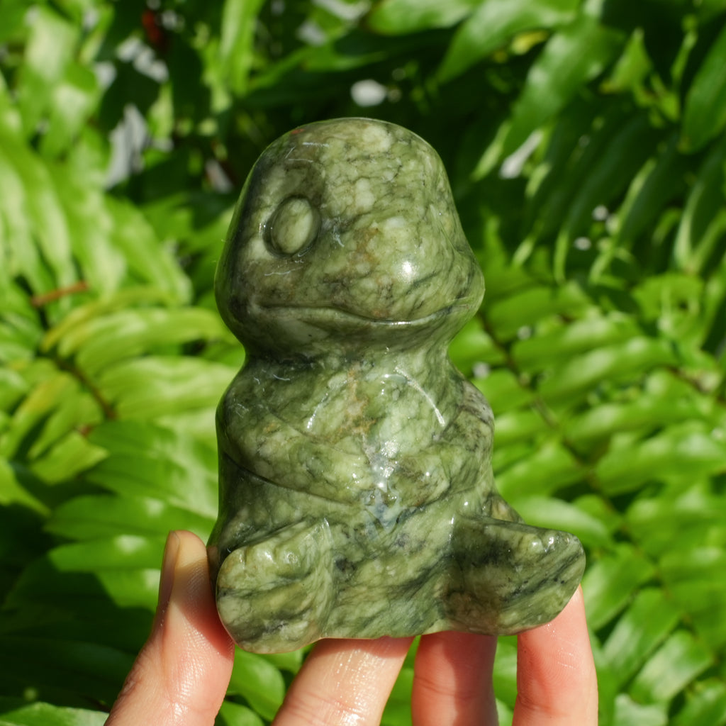 Green Jade Pokemon