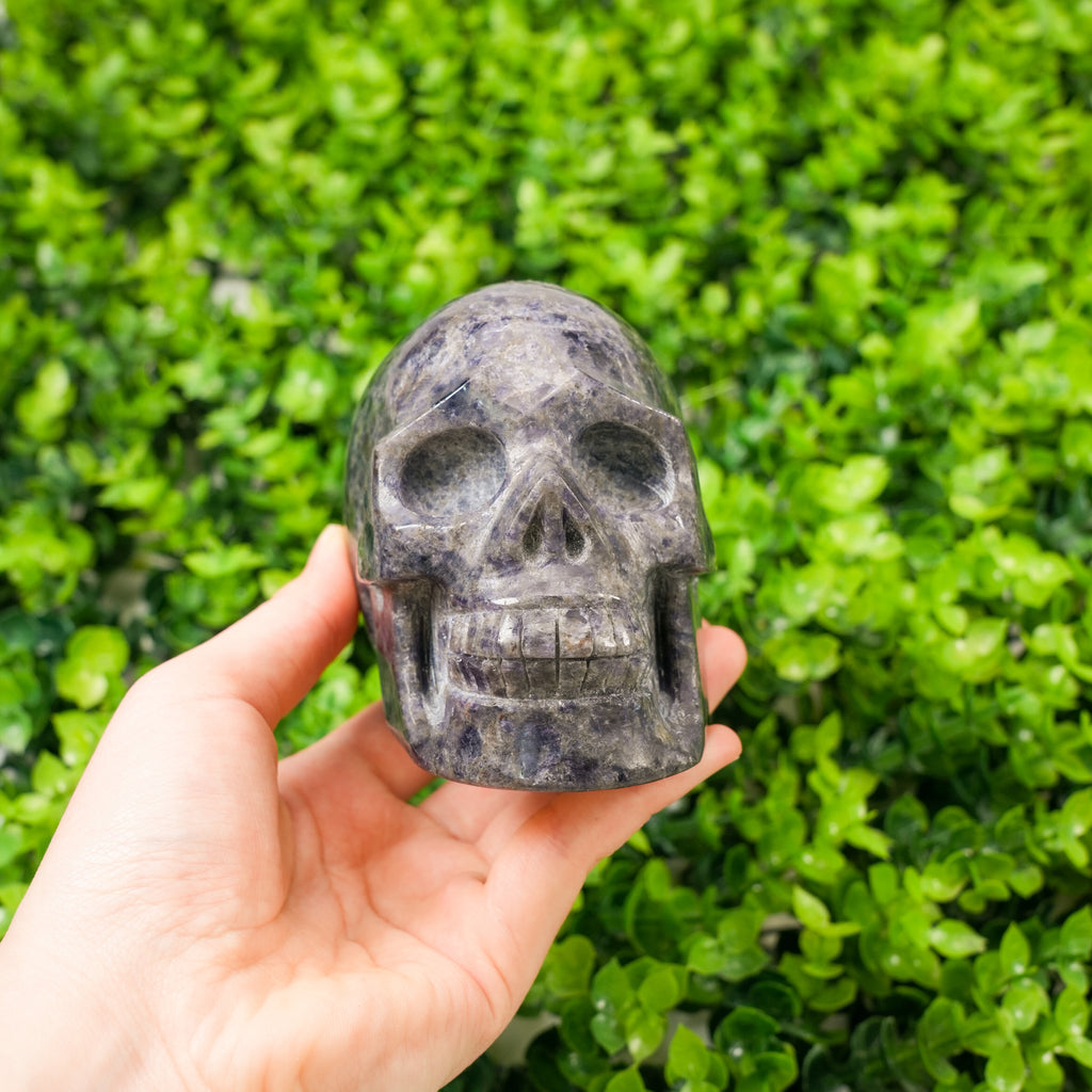 Hand-Carved Iolite Skull Statue Large Natural Gemstone Human Skull Carving, Healing Crystal Sculpture for Meditation, Gothic Home Decor, Reiki Stone for Intuition & Vision