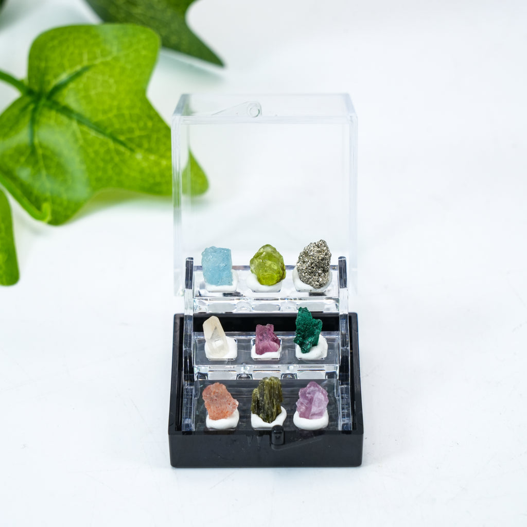Mini Mineral Specimen Collection Box -Natural Crystal Stone Set for Collectors & Decor