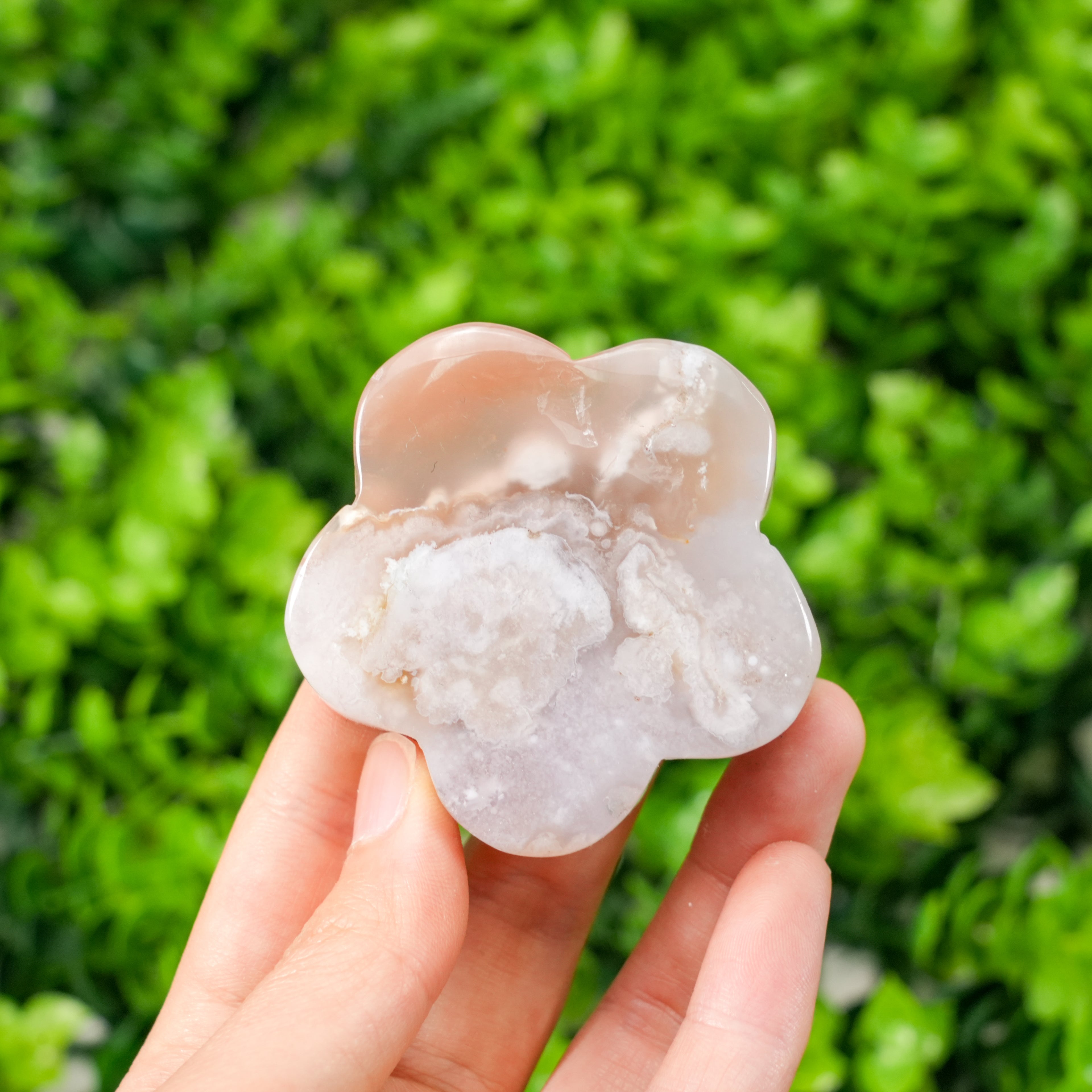 Natural Flower Agate Clover Palm Stone | Cherry Blossom Agate Carved Flower Crystal for Meditation, Healing & Home Decor
