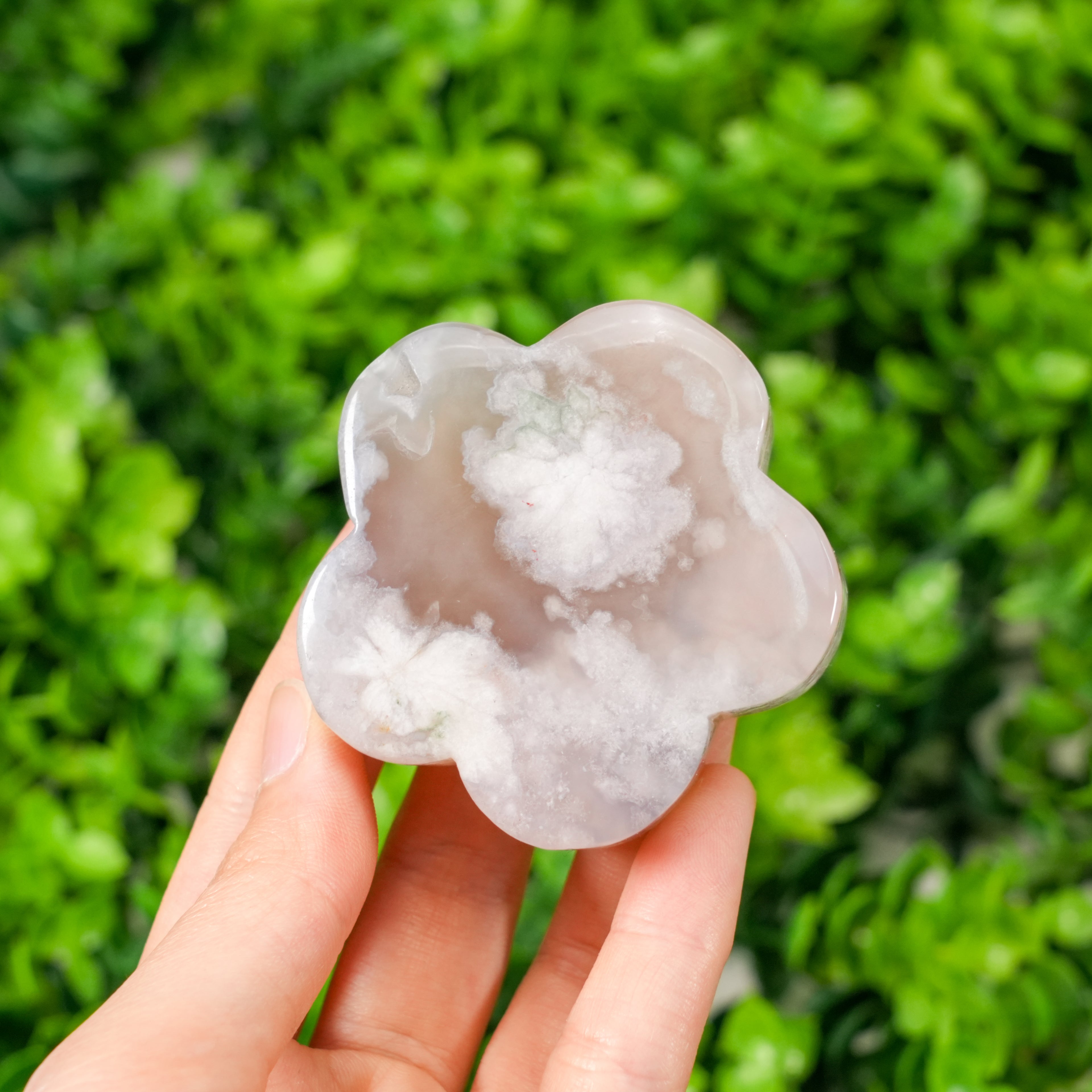 Natural Flower Agate Clover Palm Stone | Cherry Blossom Agate Carved Flower Crystal for Meditation, Healing & Home Decor