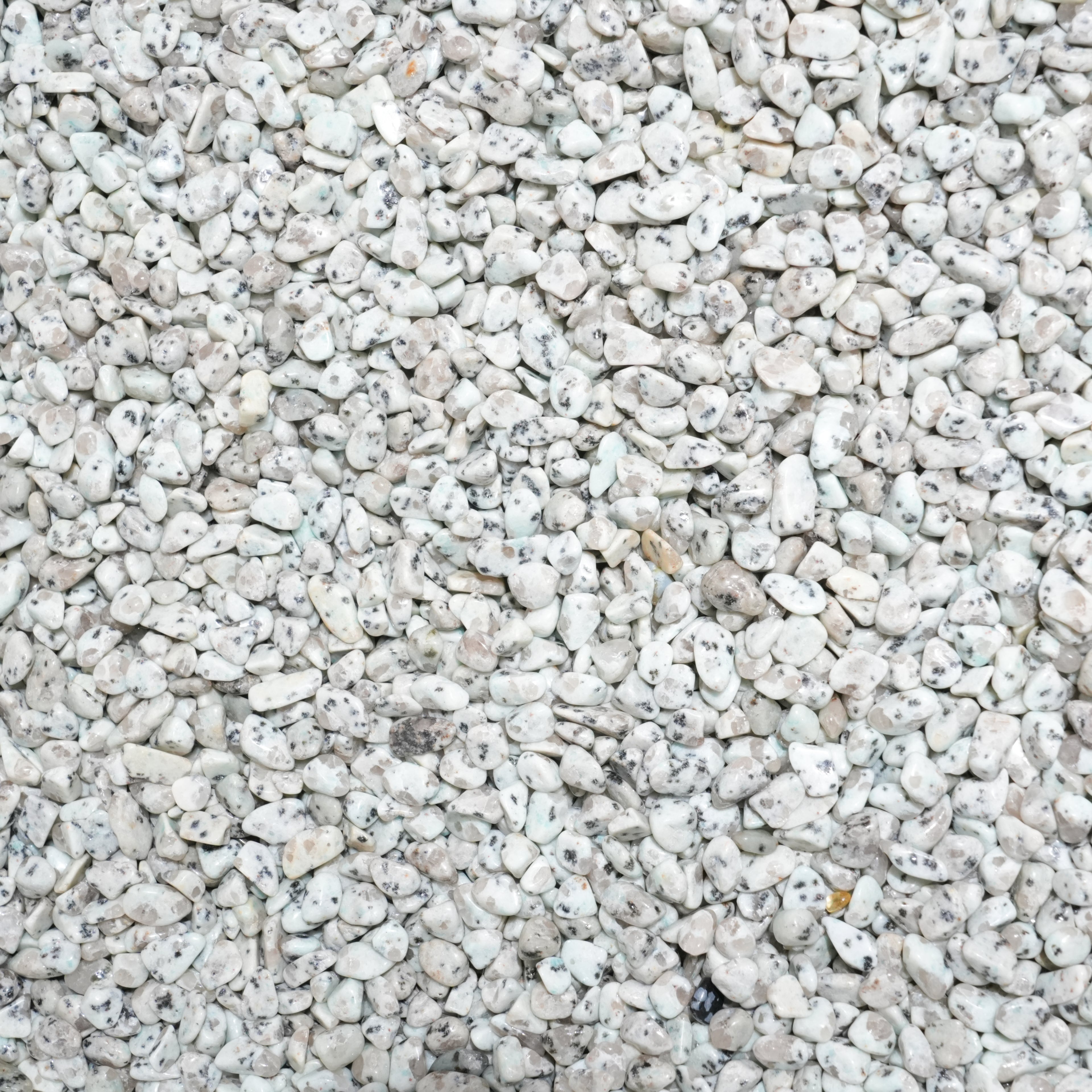 Kiwi Jasper Chips