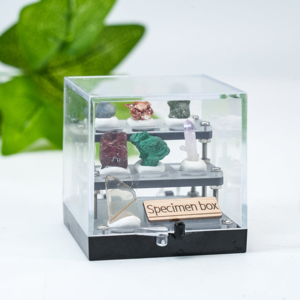 Mini Mineral Specimen Collection Box -Natural Crystal Stone Set for Collectors & Decor