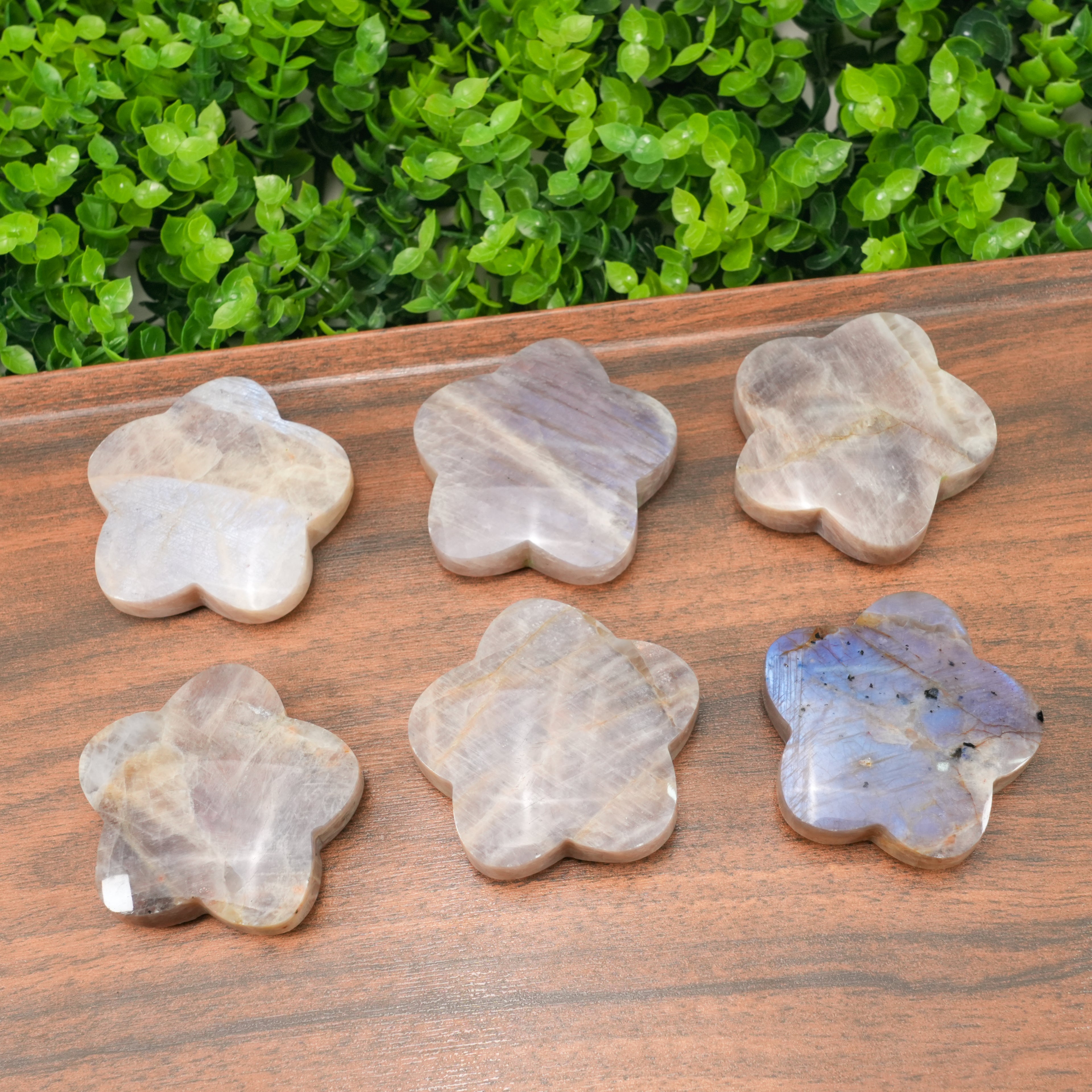 Natural Moonstone Flower Palm Stone | Blue Flash Moonstone Clover Carving for Meditation, Healing & Home Decor