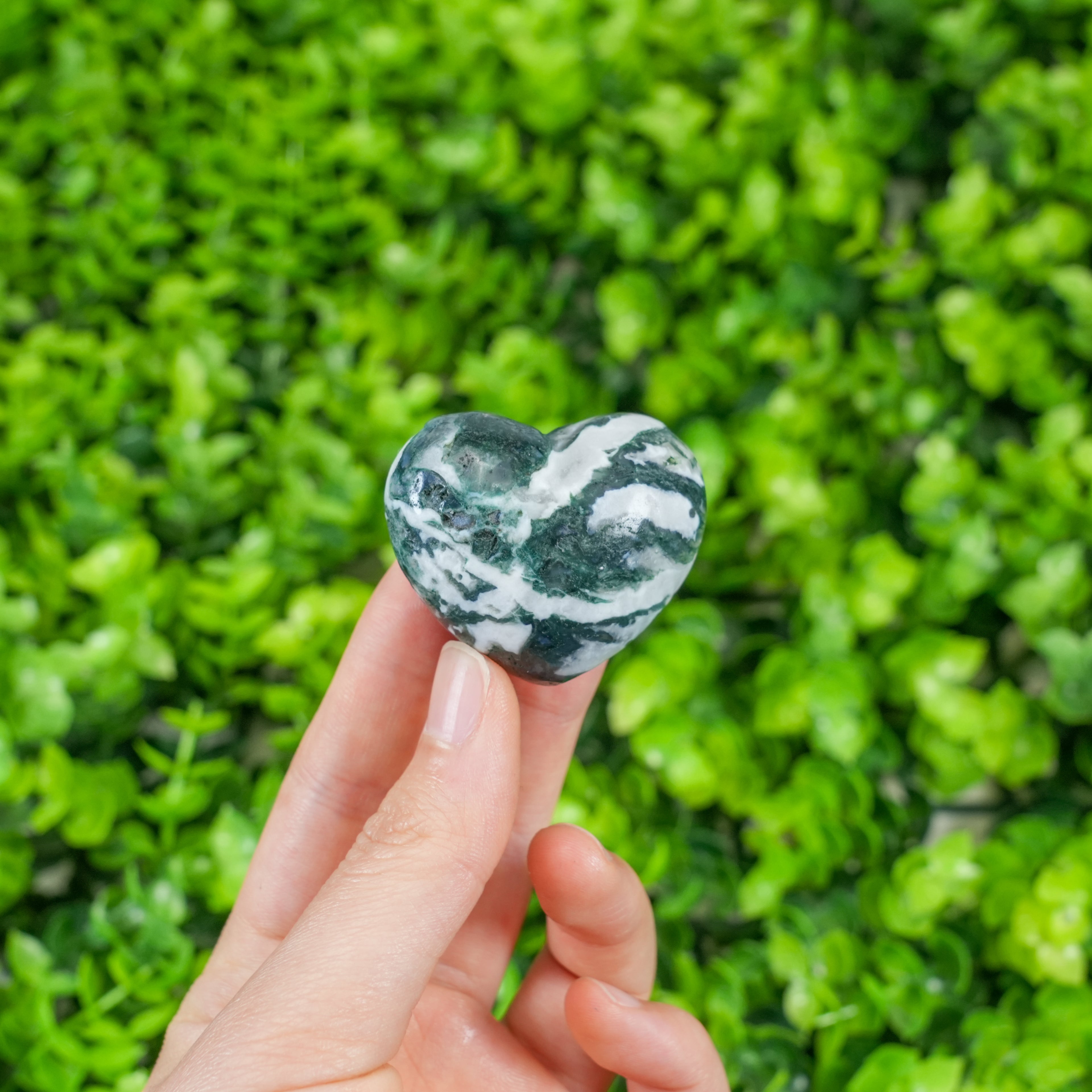 Assorted Crystal Heart Palm Stones | Mixed Natural Gemstone Hearts for Healing