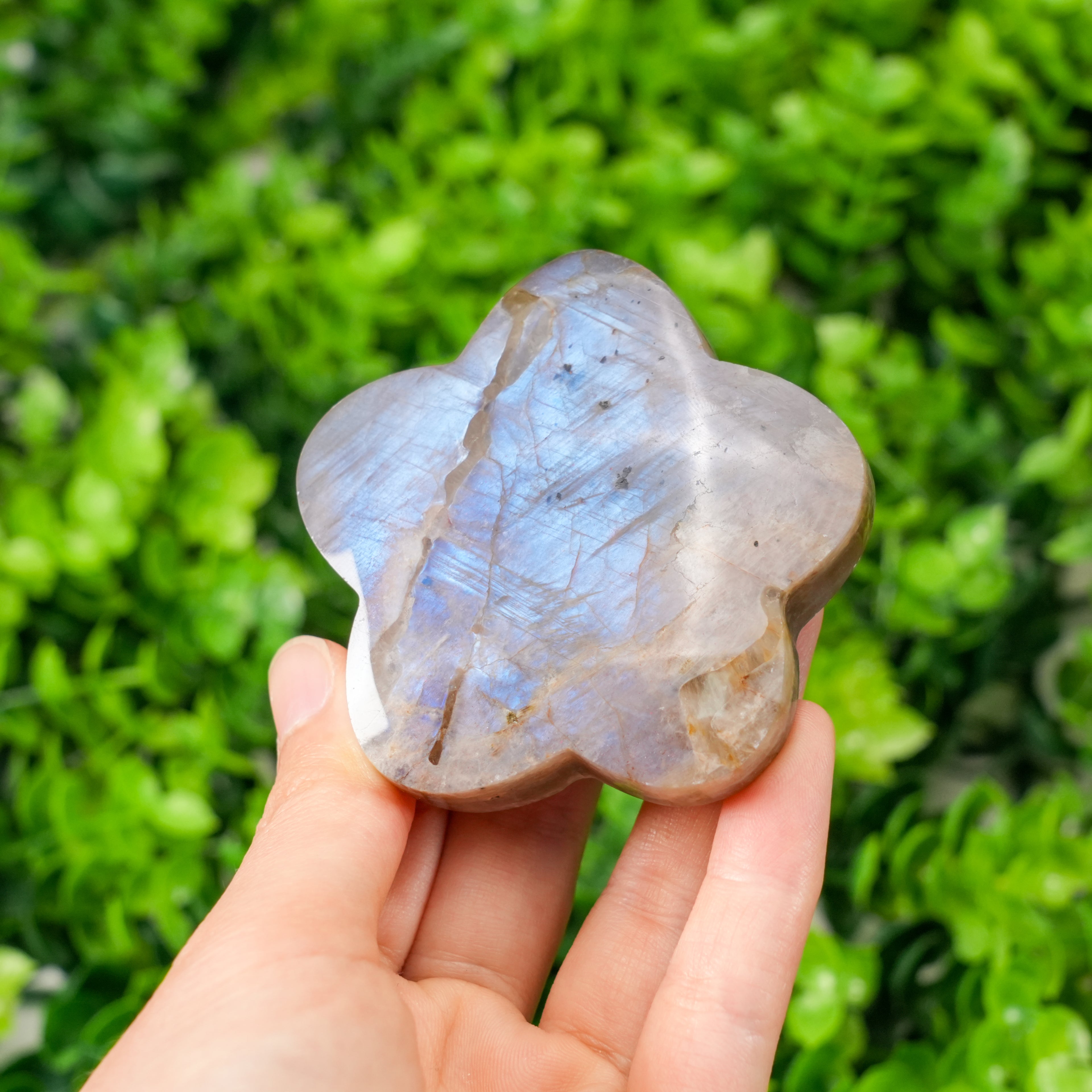 Natural Moonstone Flower Palm Stone | Blue Flash Moonstone Clover Carving for Meditation, Healing & Home Decor