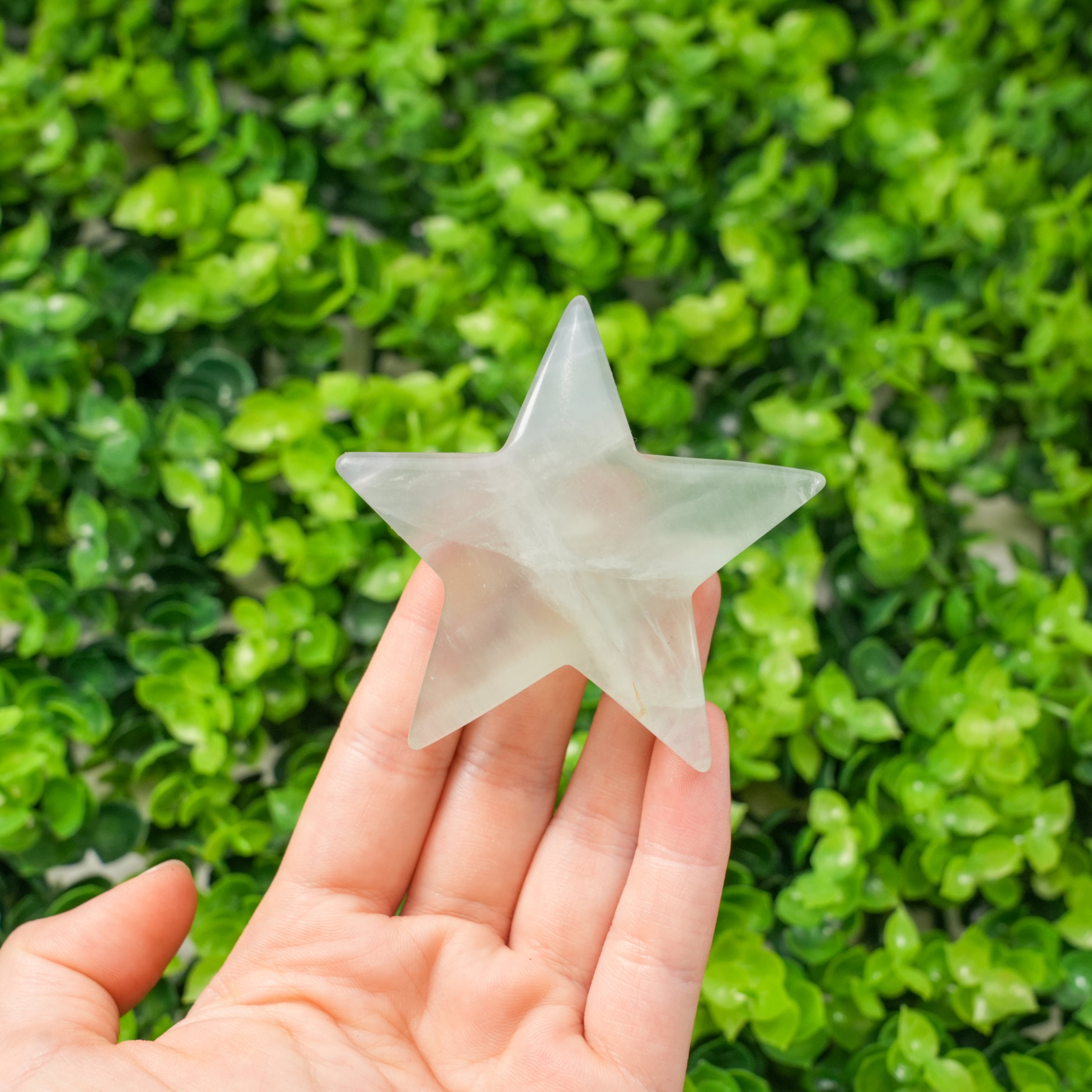 Mixed Crystal Moon & Star Carvings | Natural Polished Palm Stones for Meditation & Altar Décor
