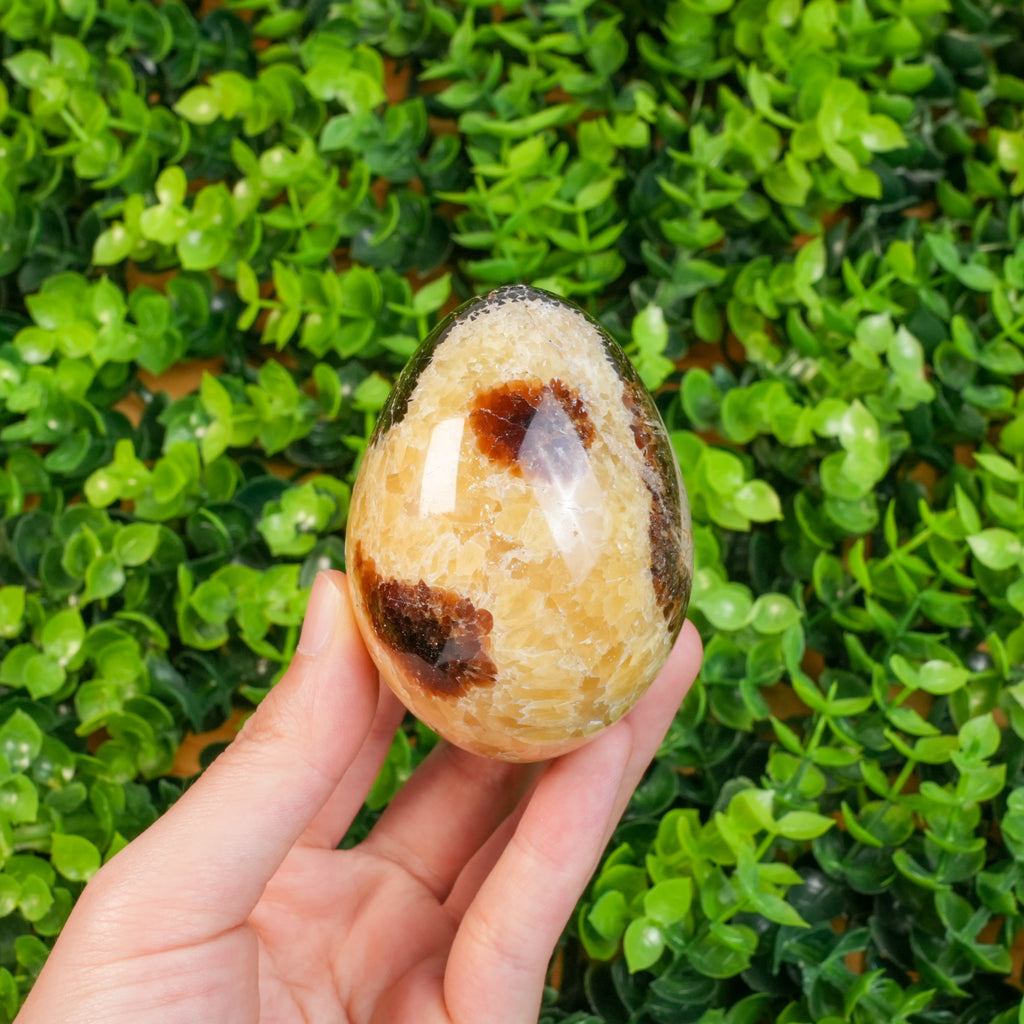 Septarian Dragon Egg Crystal | Natural Septarian Tumbled Stone for Grounding & Emotional Balance