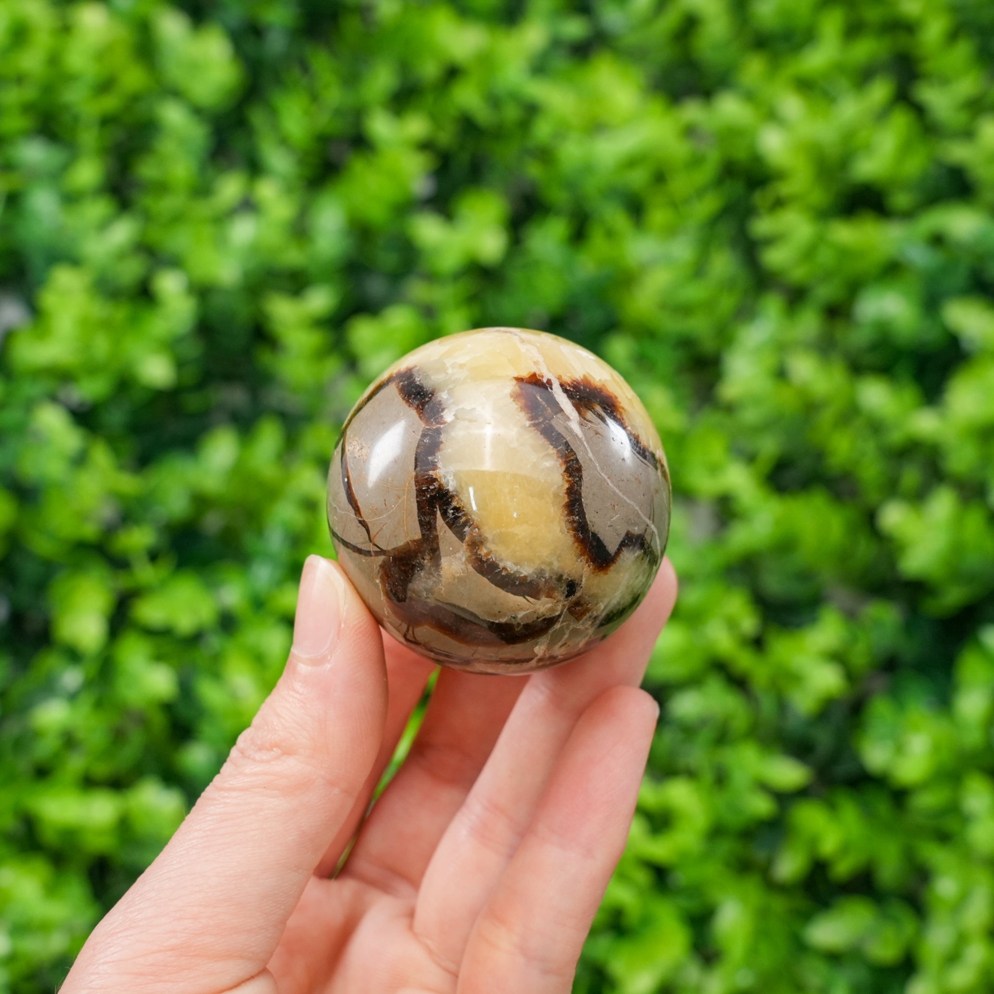 Natural Septarian Dragon Stone Sphere Polished Geode Ball, Hand-Carved Septarian Nodule Crystal for Grounding, Protection, and Spiritual Decor, Unique Gemstone Sphere with Stand