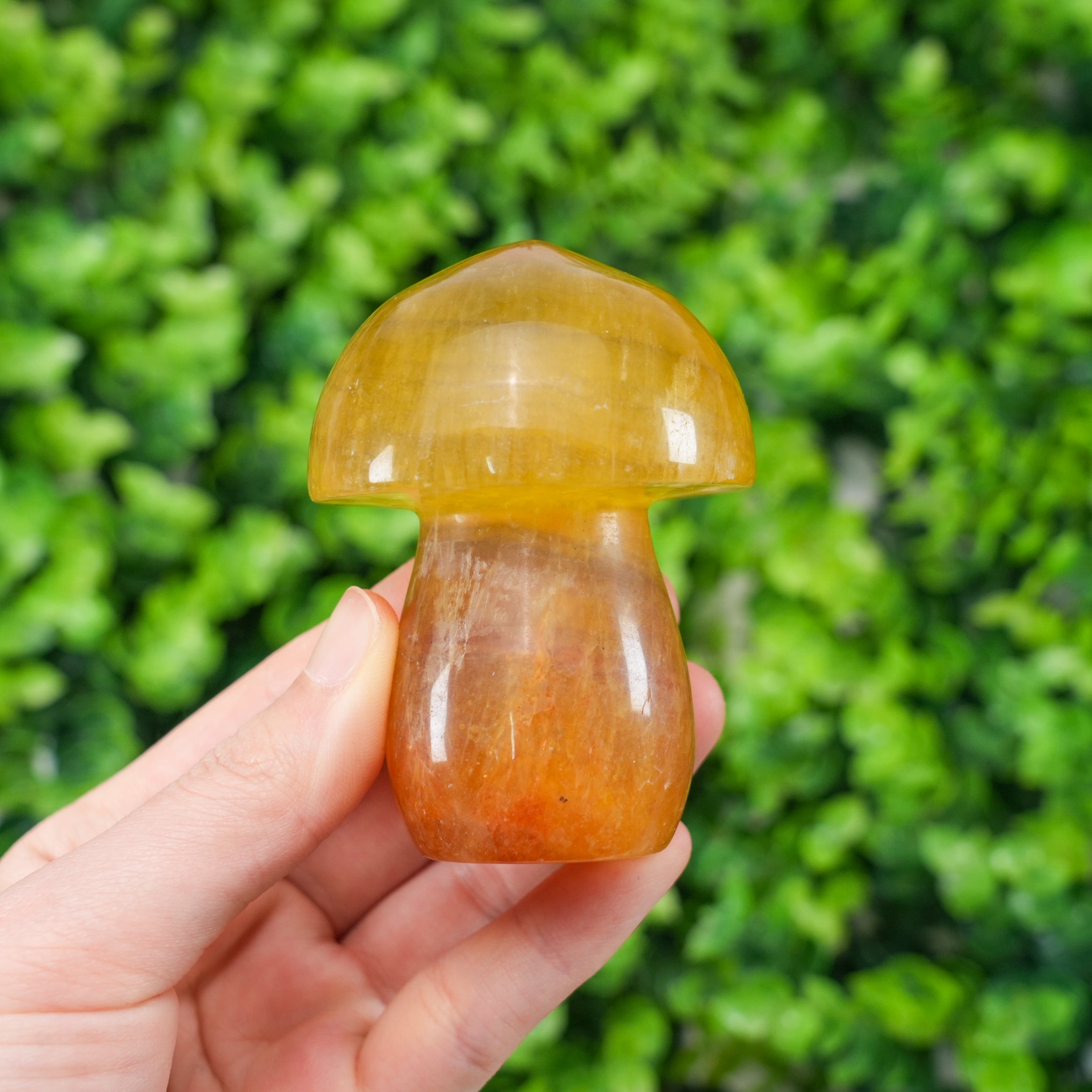 Natural Rainbow Fluorite Mushroom - Hand-Carved Colorful Crystal Mushroom Figurine