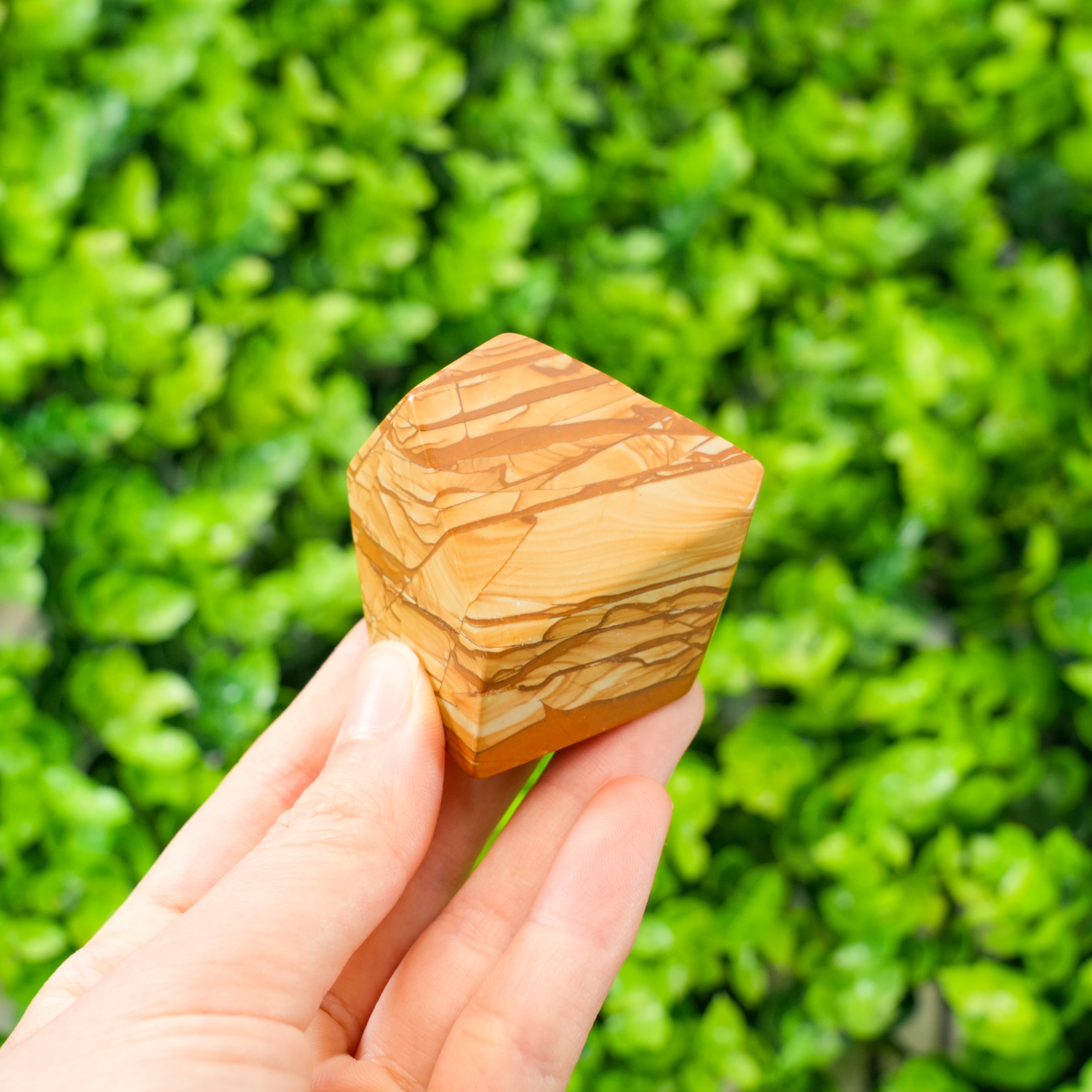 Premium Picture Jasper Free Form Stone – Natural Landscape Jasper Crystal Sculpture for Display & Collectors