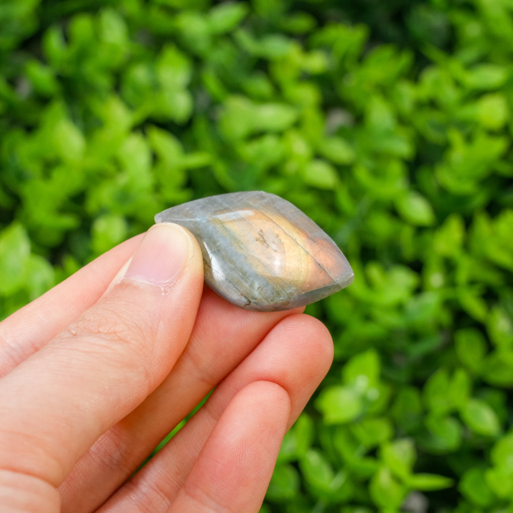 Natural Labradorite Crystal Leaf Carving - Hand-Carved Gemstone Foliage with Blue & Purple Unique Spiritual Gift for Crystal Collectors Flash
