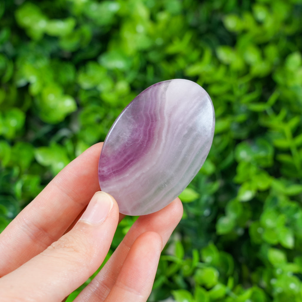 Rainbow Fluorite Worry Stones | Polished Natural Fluorite Palm Stones for Calm & Focus