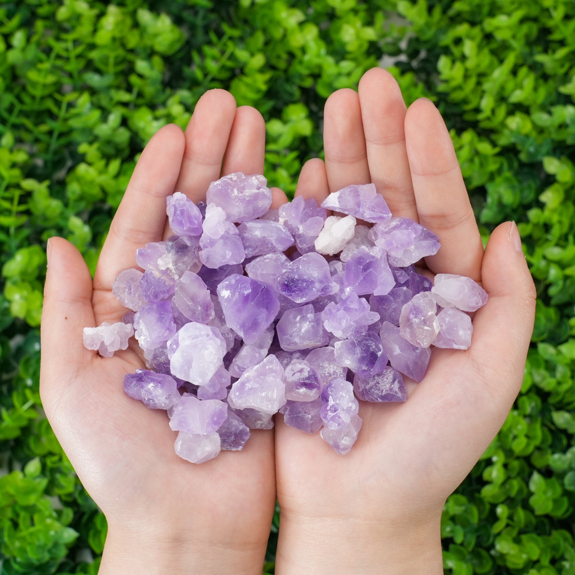 Mixed Amethyst & Citrine Quartz Crystal Points (Assorted Crystal Points)
