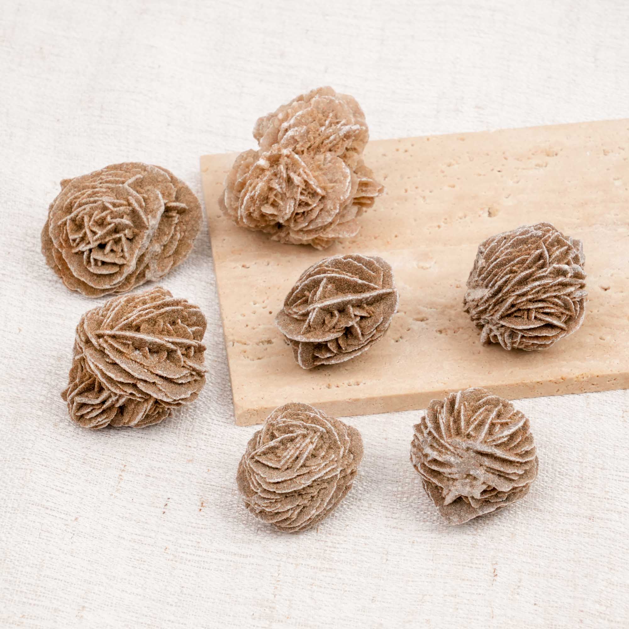 Desert Rose