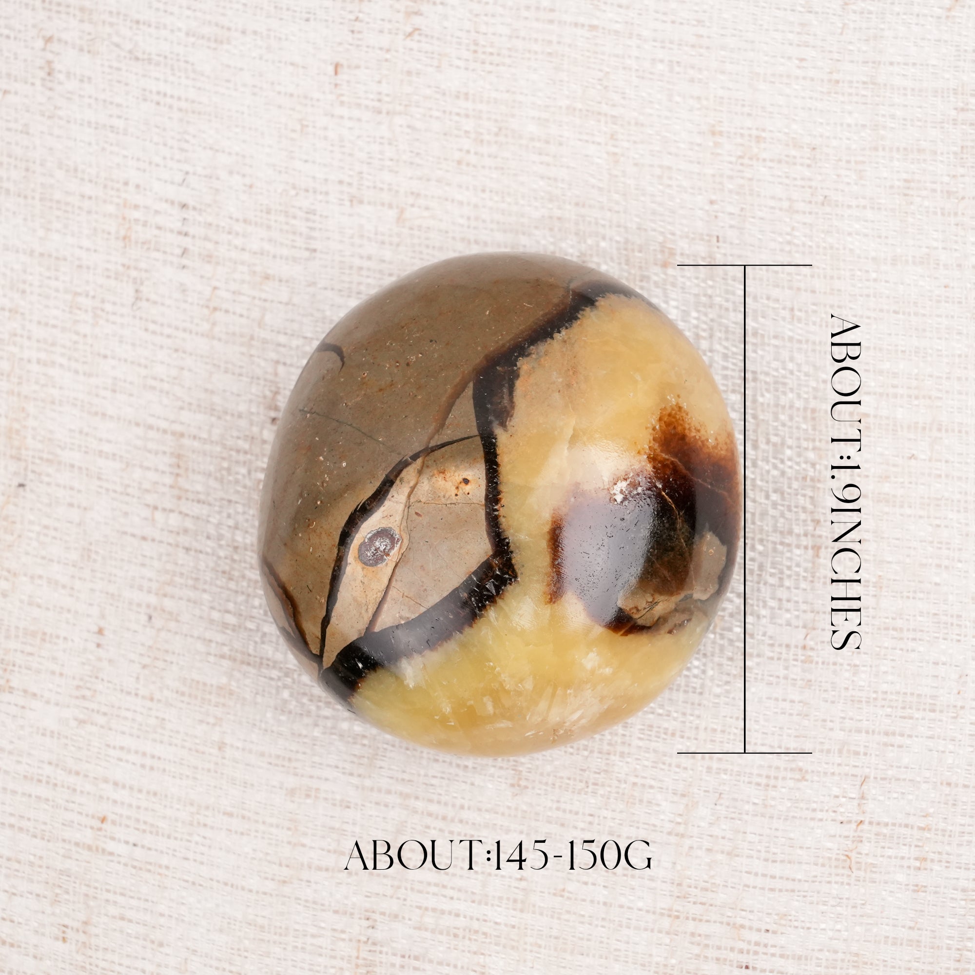 Septarian Palm Stone