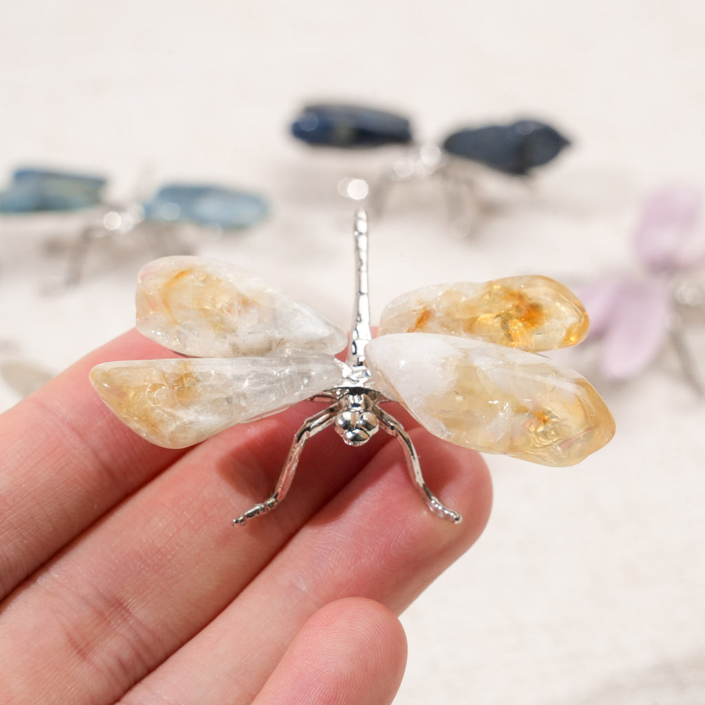 Crystal Dragonfly