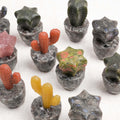 Yooperlite Dragon Cactus