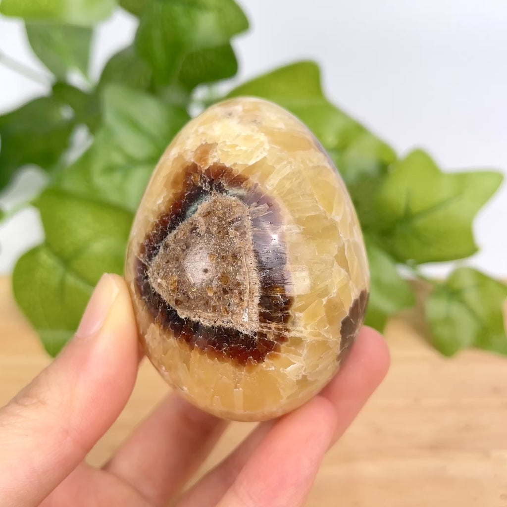 Septarian Dragon Egg Crystal | Natural Septarian Tumbled Stone for Grounding & Emotional Balance