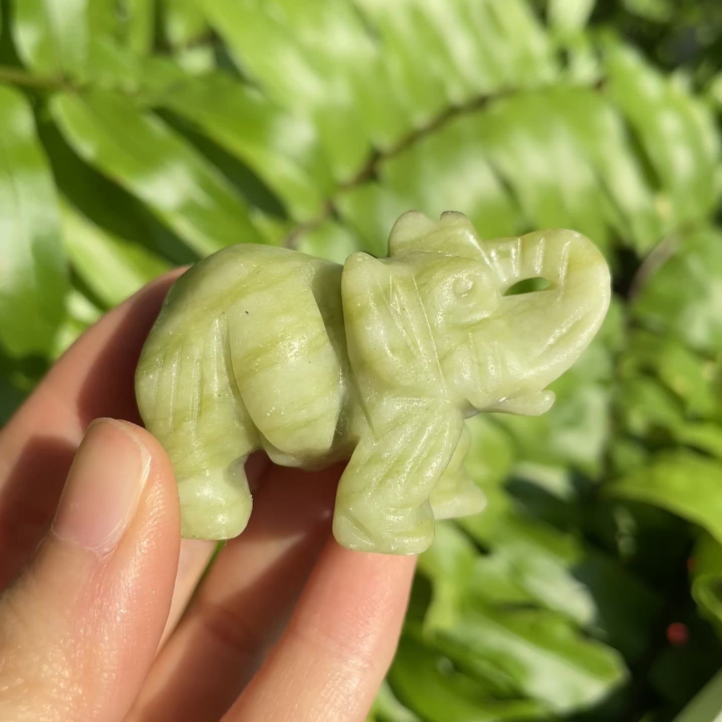 Lemon Jade Elephant