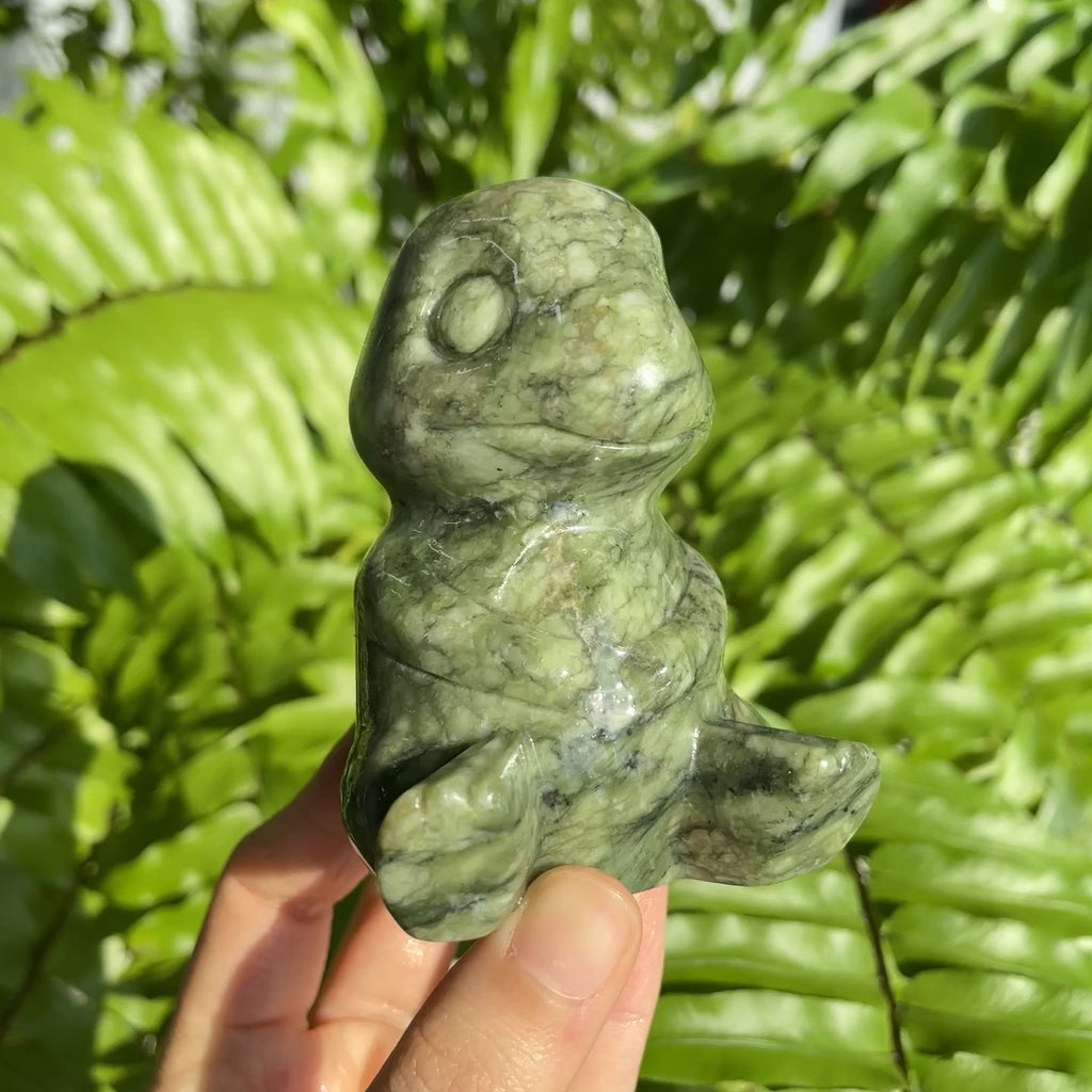 Green Jade Pokemon