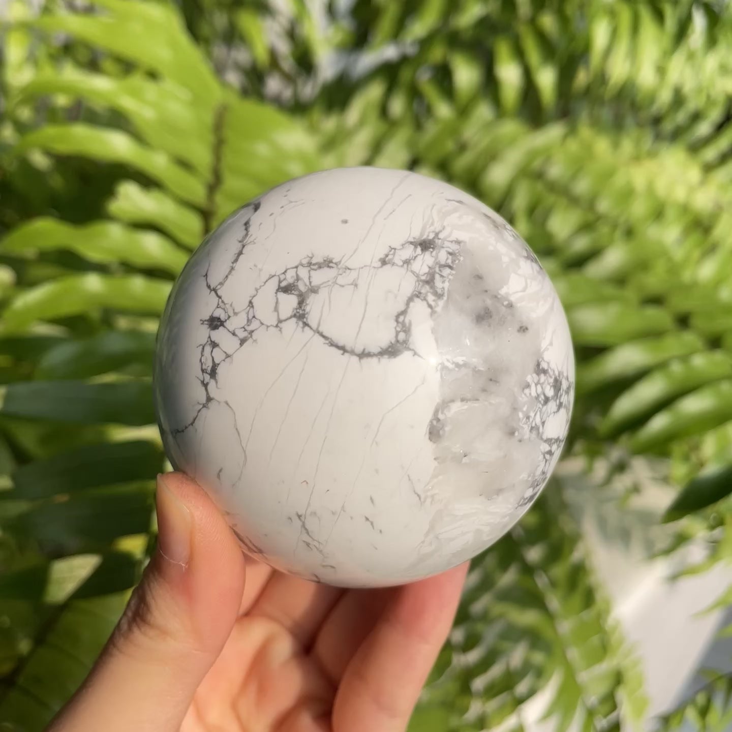 Howlite Sphere