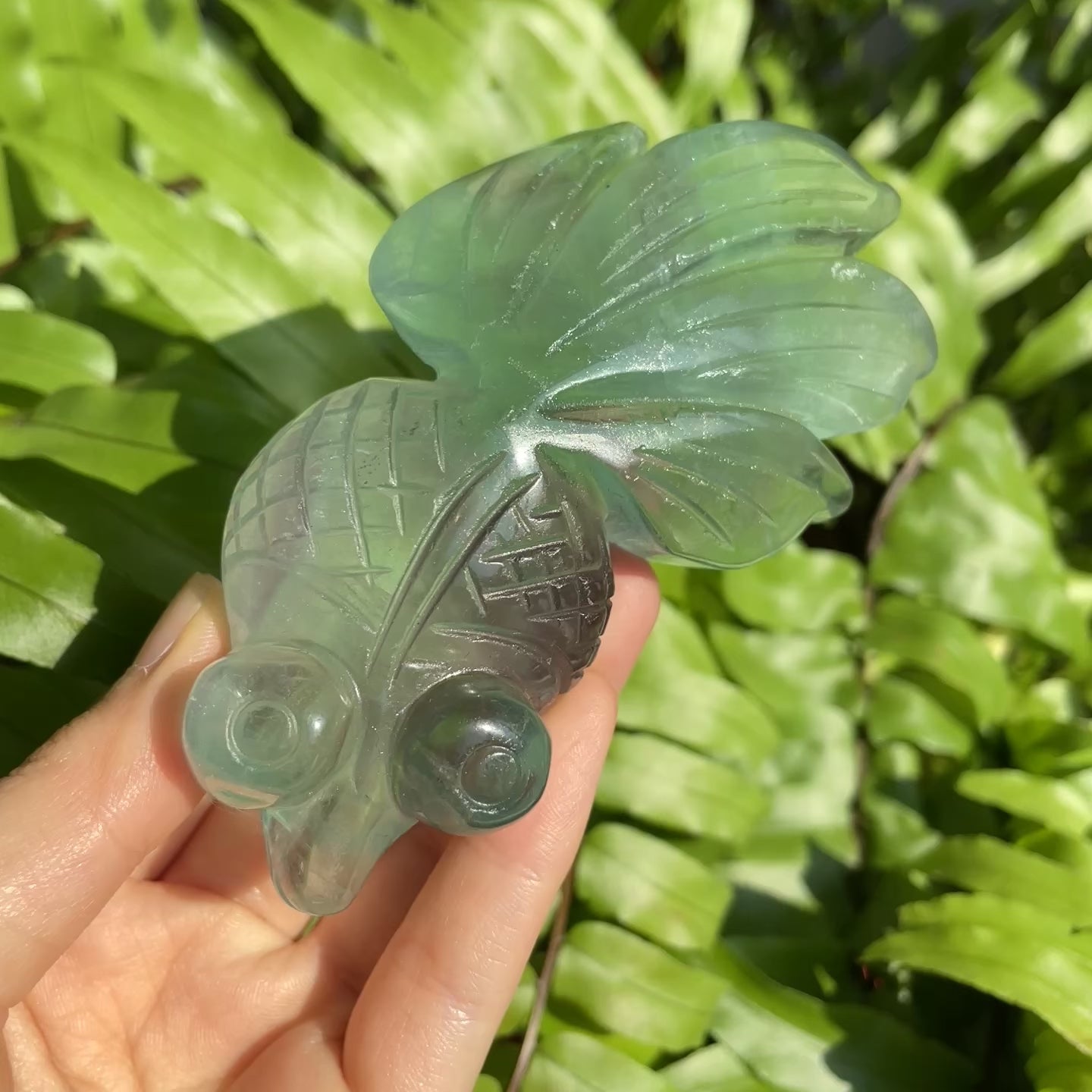 Fluorite Goldfish