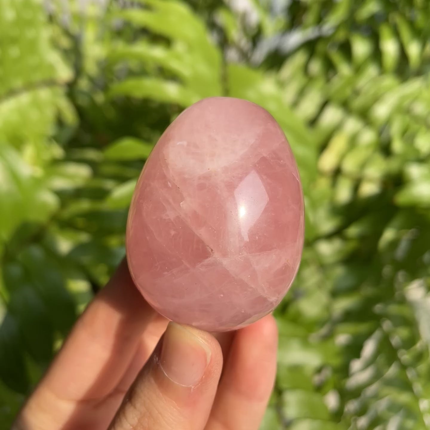 Rose Quartz Egg