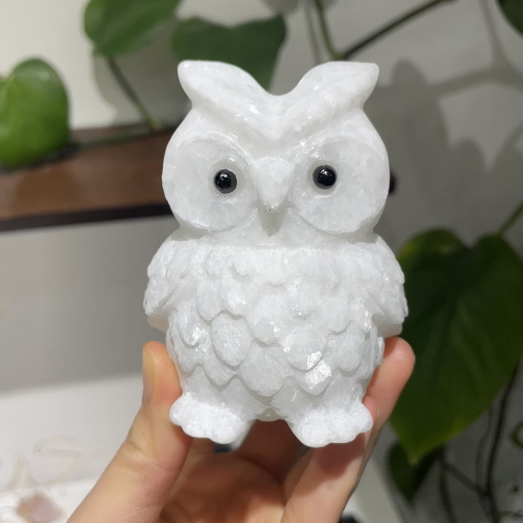 White Jade Owl