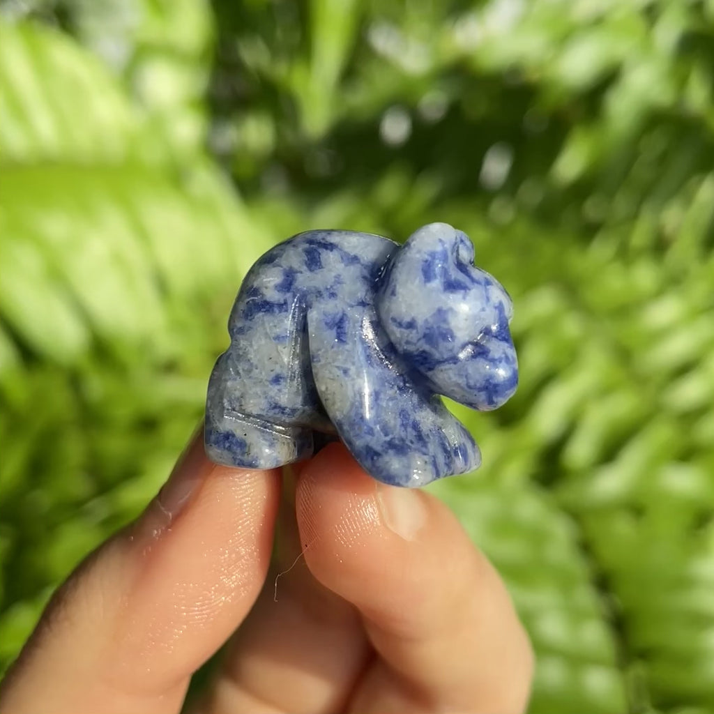Sodalite Bear Mini Carving