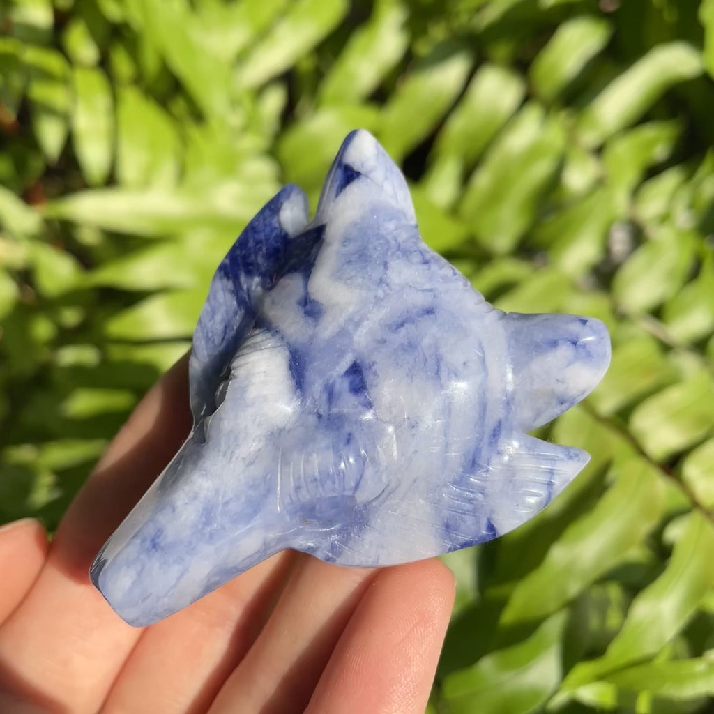 Porcelain Sodalite Wolf