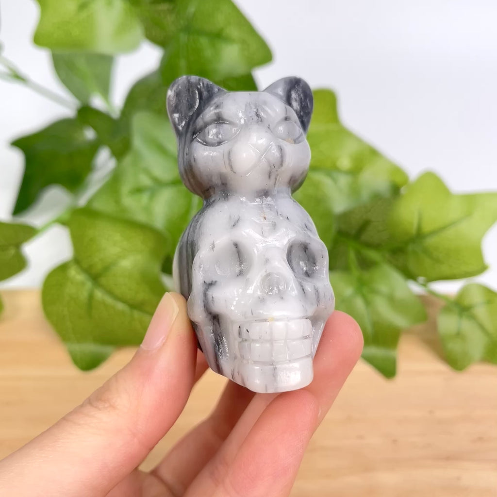 Hand-Carved Crystal Cat Skull Statue | Assorted Natural Gemstone Cat on Skull for Altar & Gothic Decor