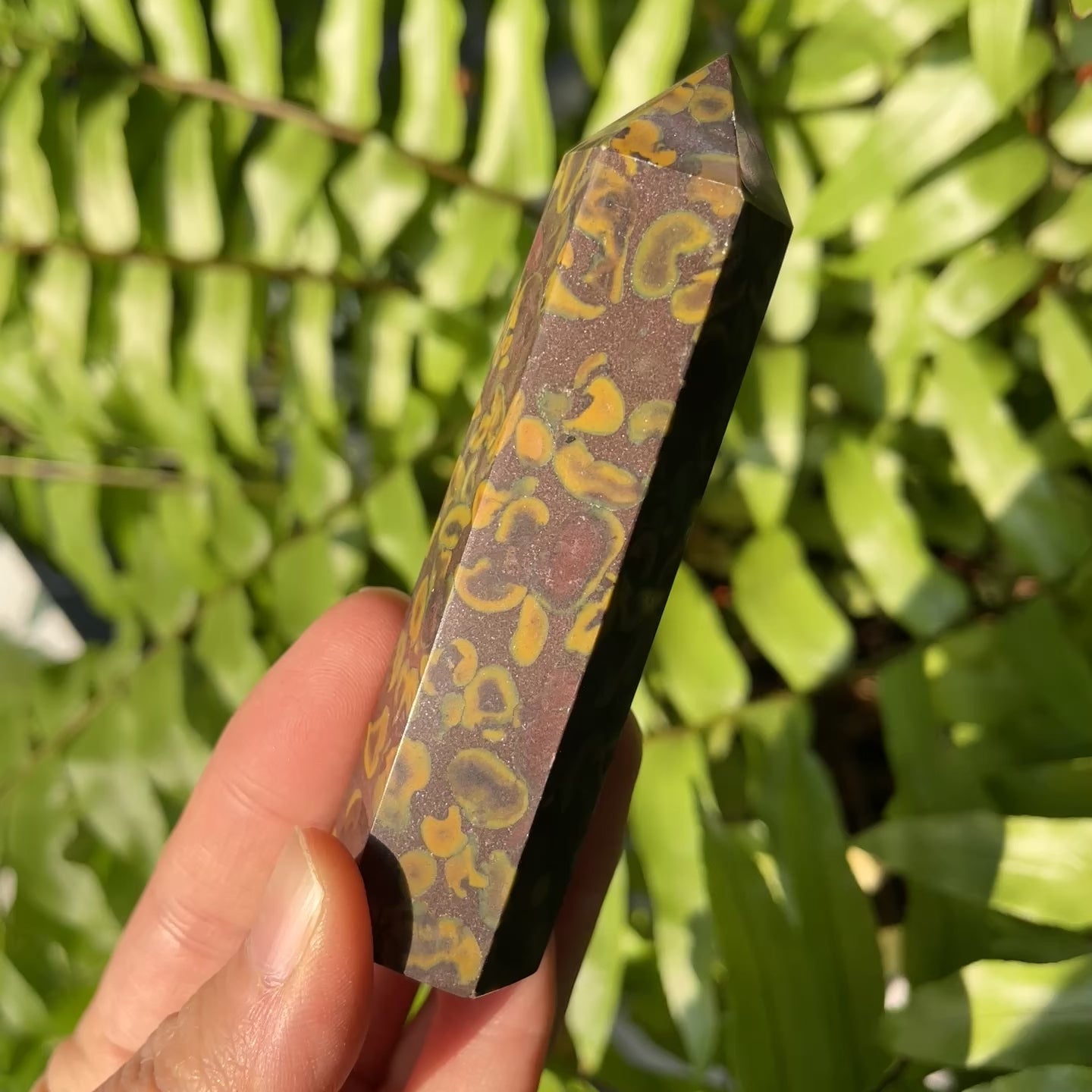 Fruit Jasper Point