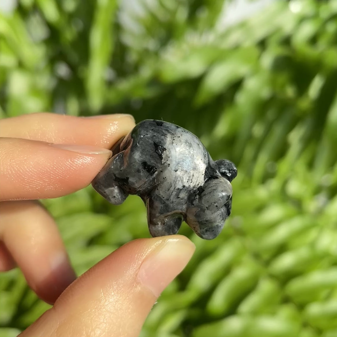 Larvikite Bear Mini Carving
