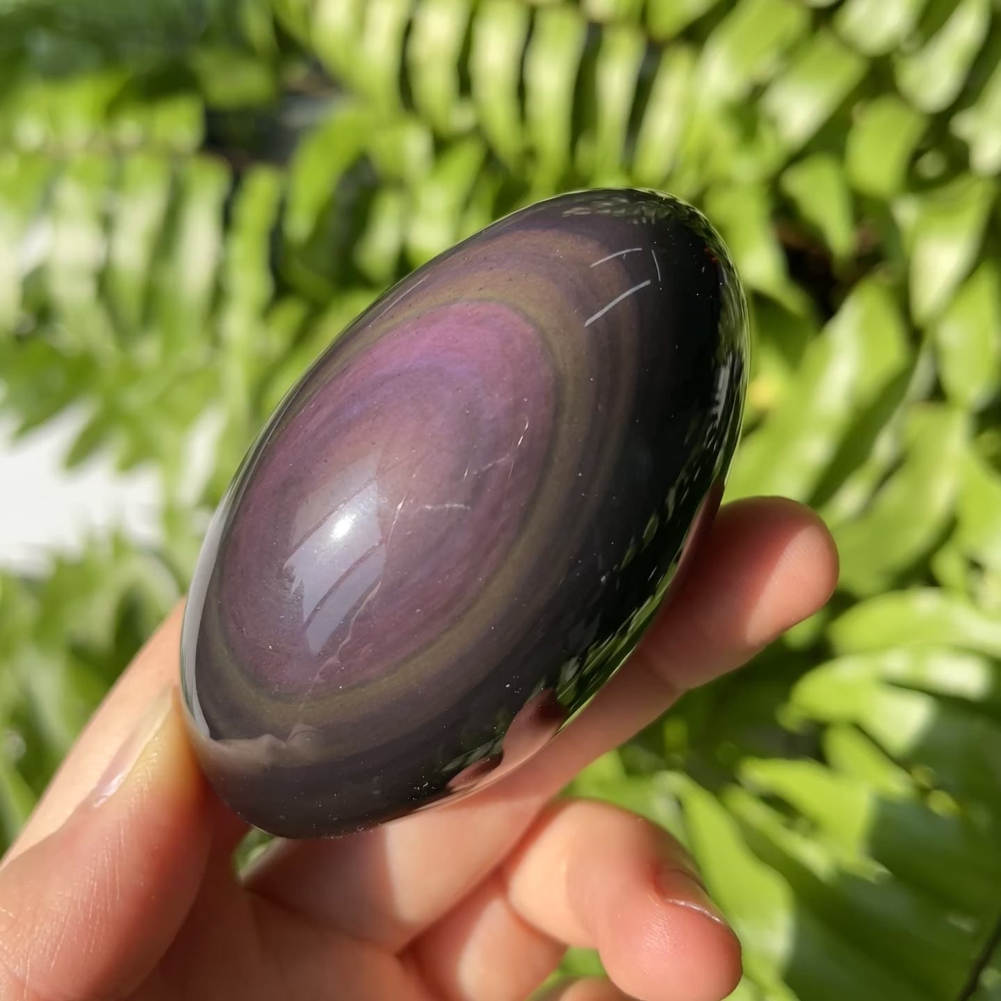 Rainbow Obsidian Bodhi Seed
