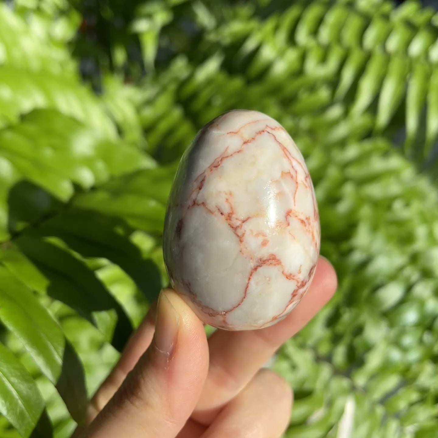 Red Net Stone Egg
