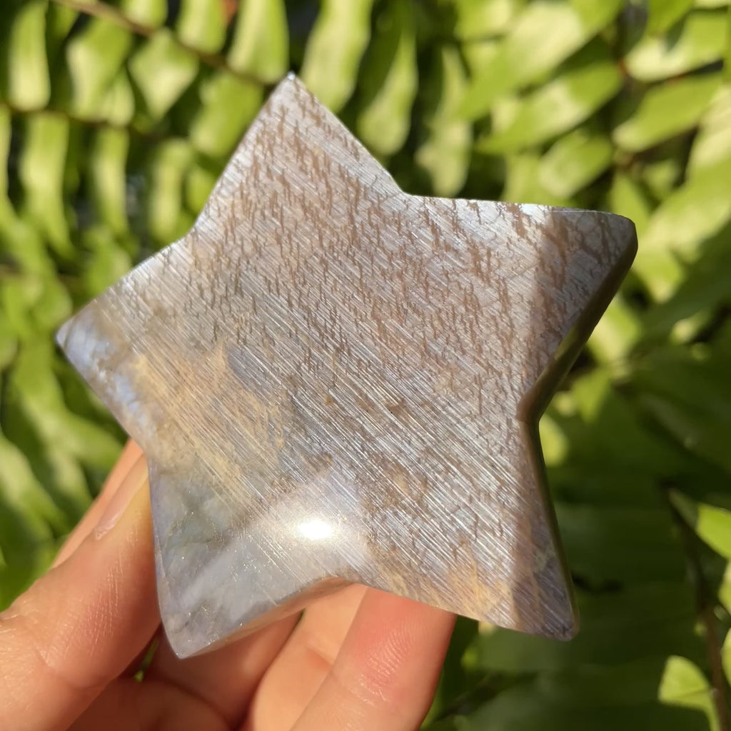 Blue Moonstone Palmstone Star
