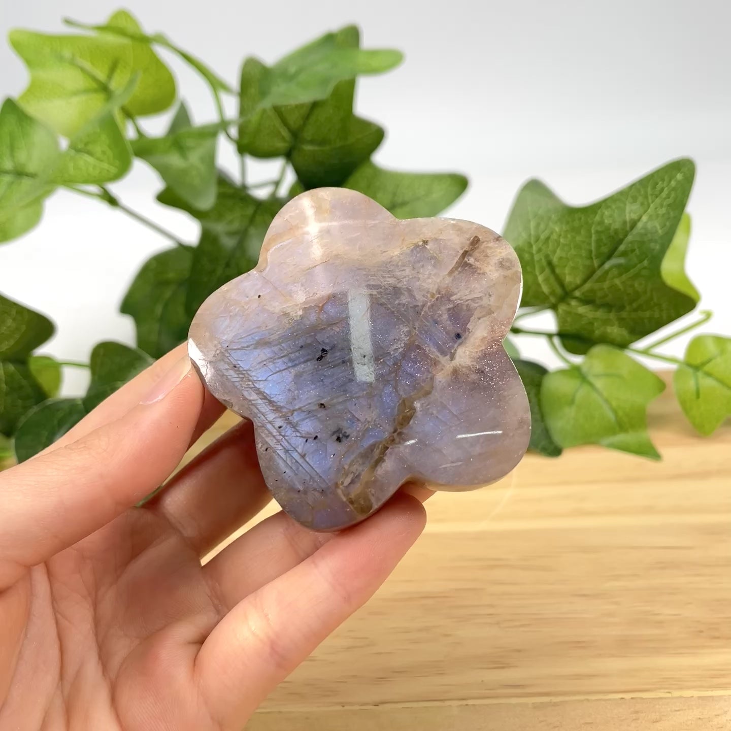 Natural Moonstone Flower Palm Stone | Blue Flash Moonstone Clover Carving for Meditation, Healing & Home Decor